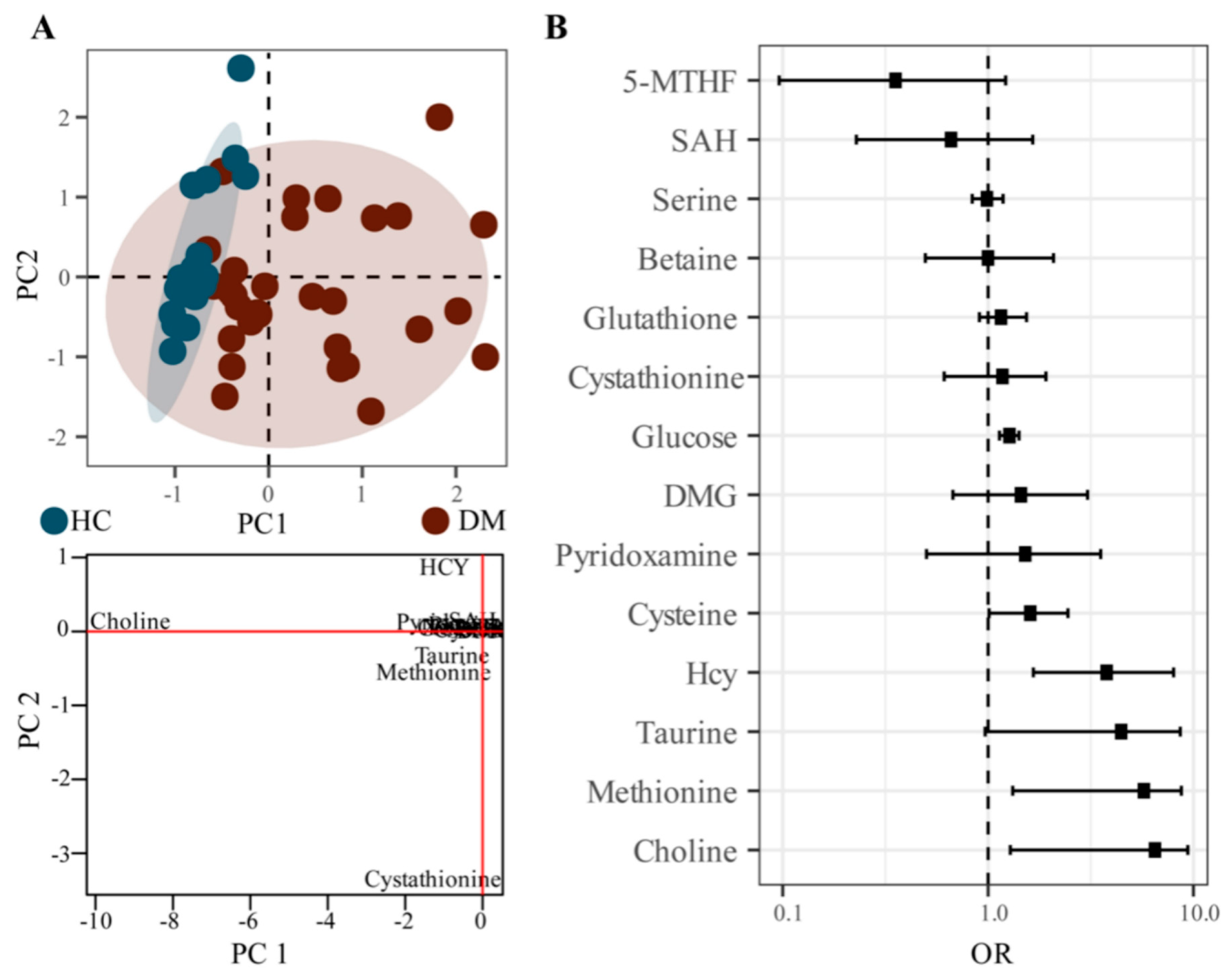 Molecules 28 00656 g004