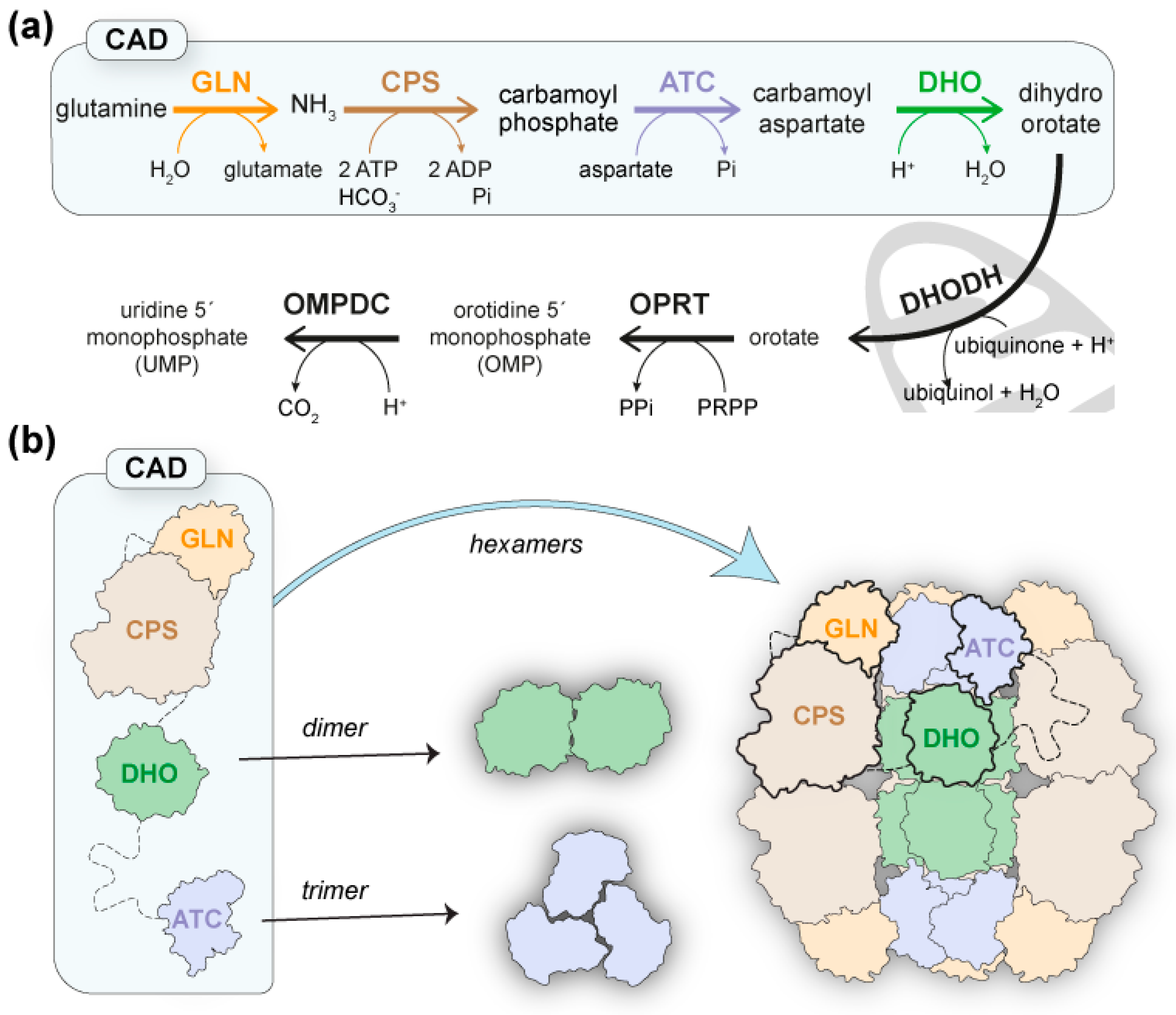 Molecules 28 00660 g001