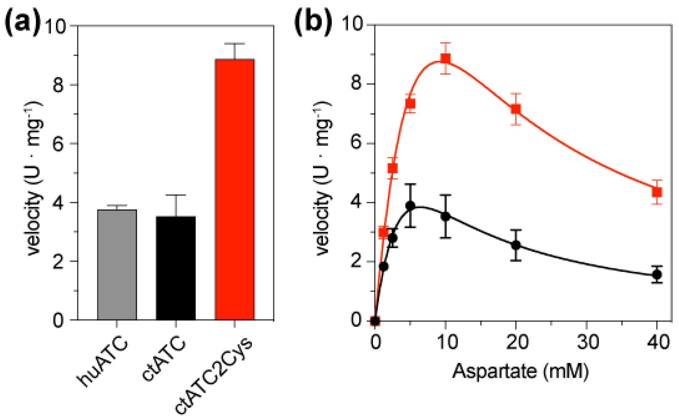 Molecules 28 00660 g005