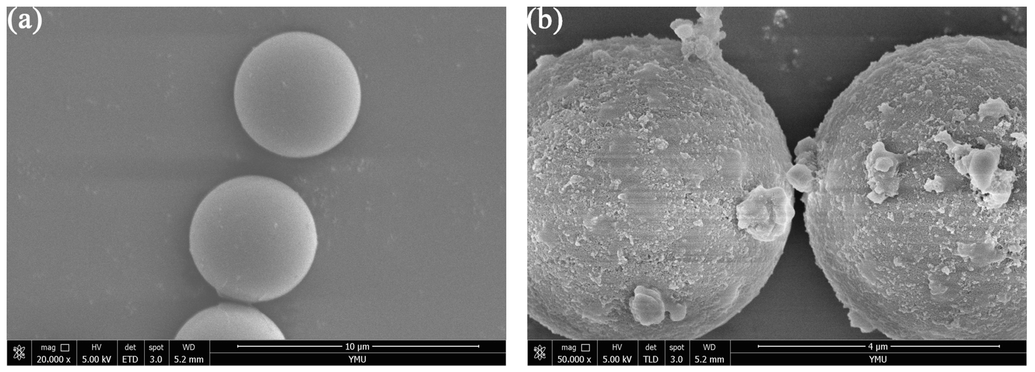 Molecules 28 00662 g002