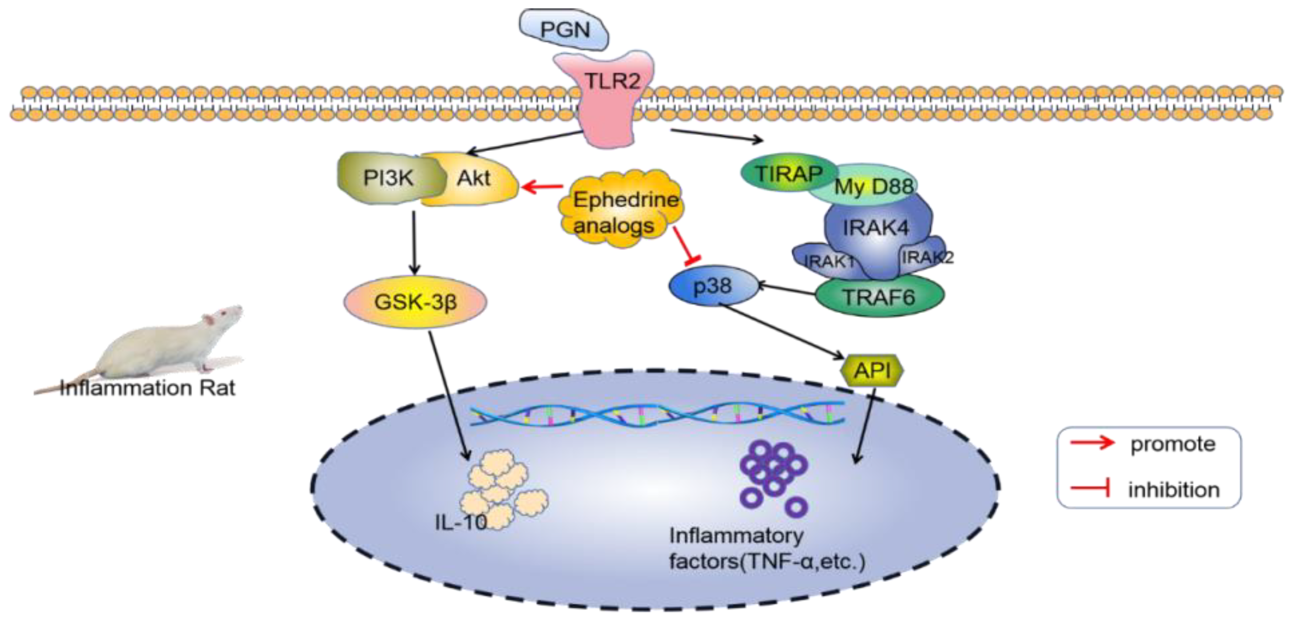 Molecules 28 00663 g003