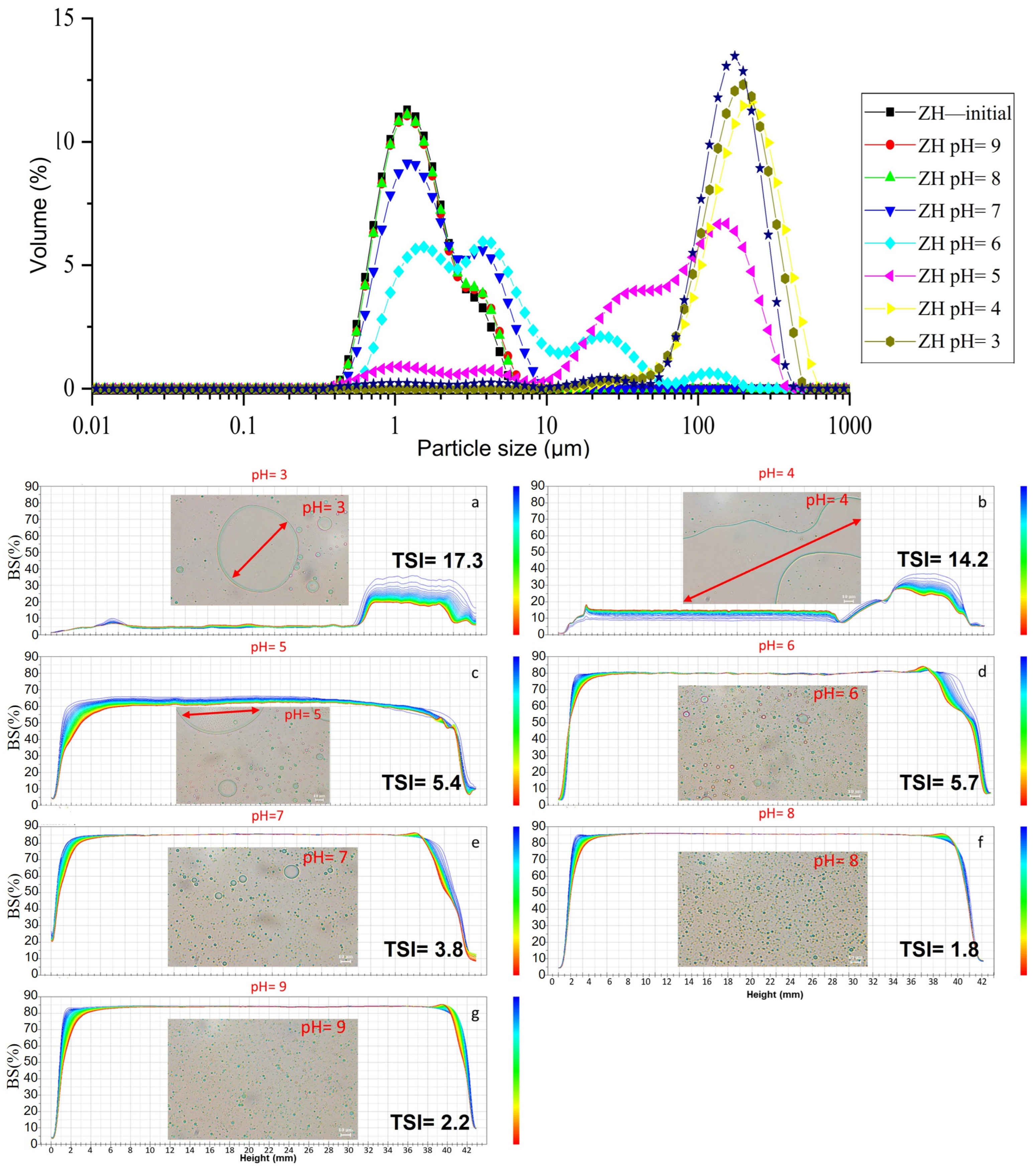 Molecules 28 00665 g005