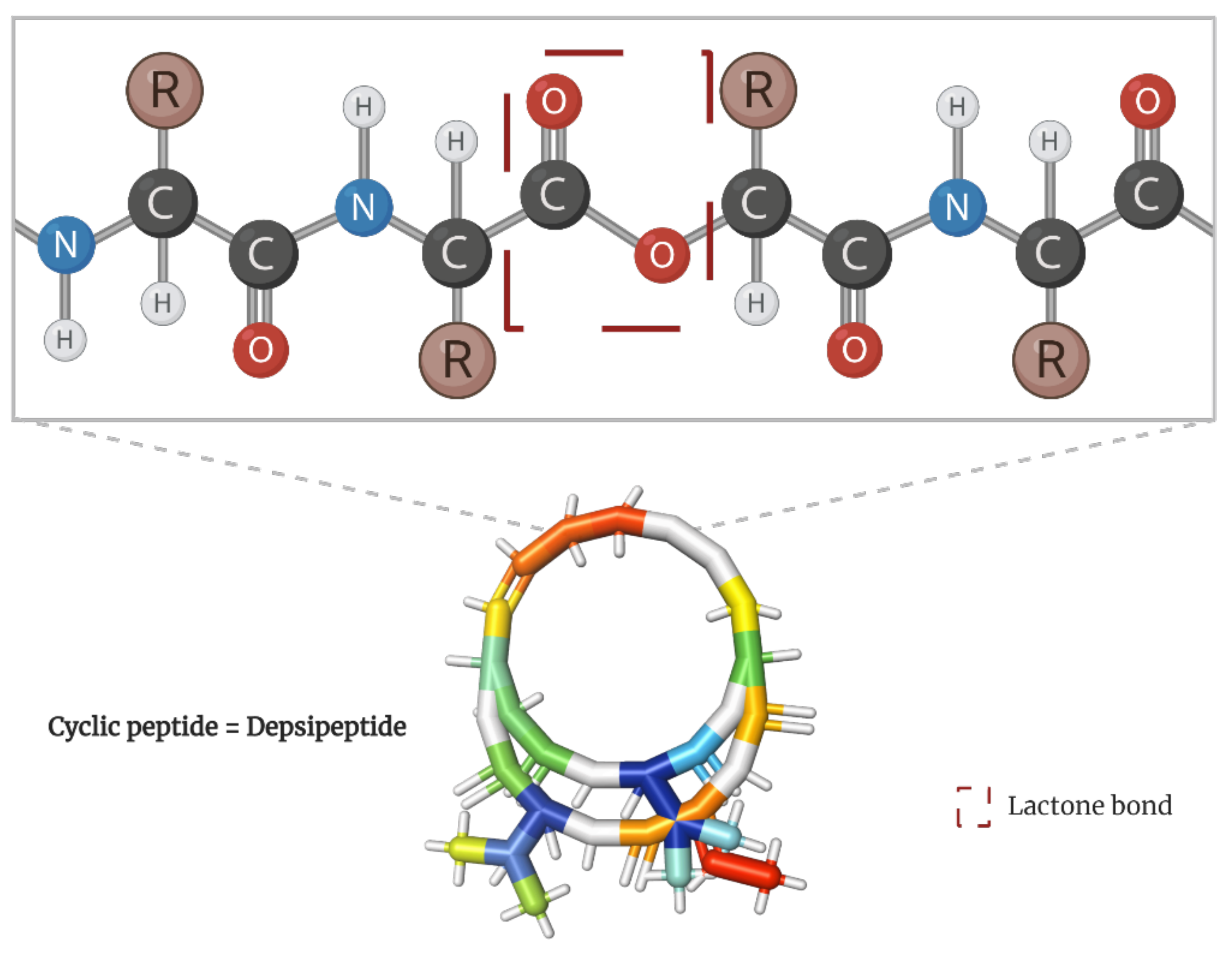 Molecules 28 00670 g001 Molecules 28 00670 g001