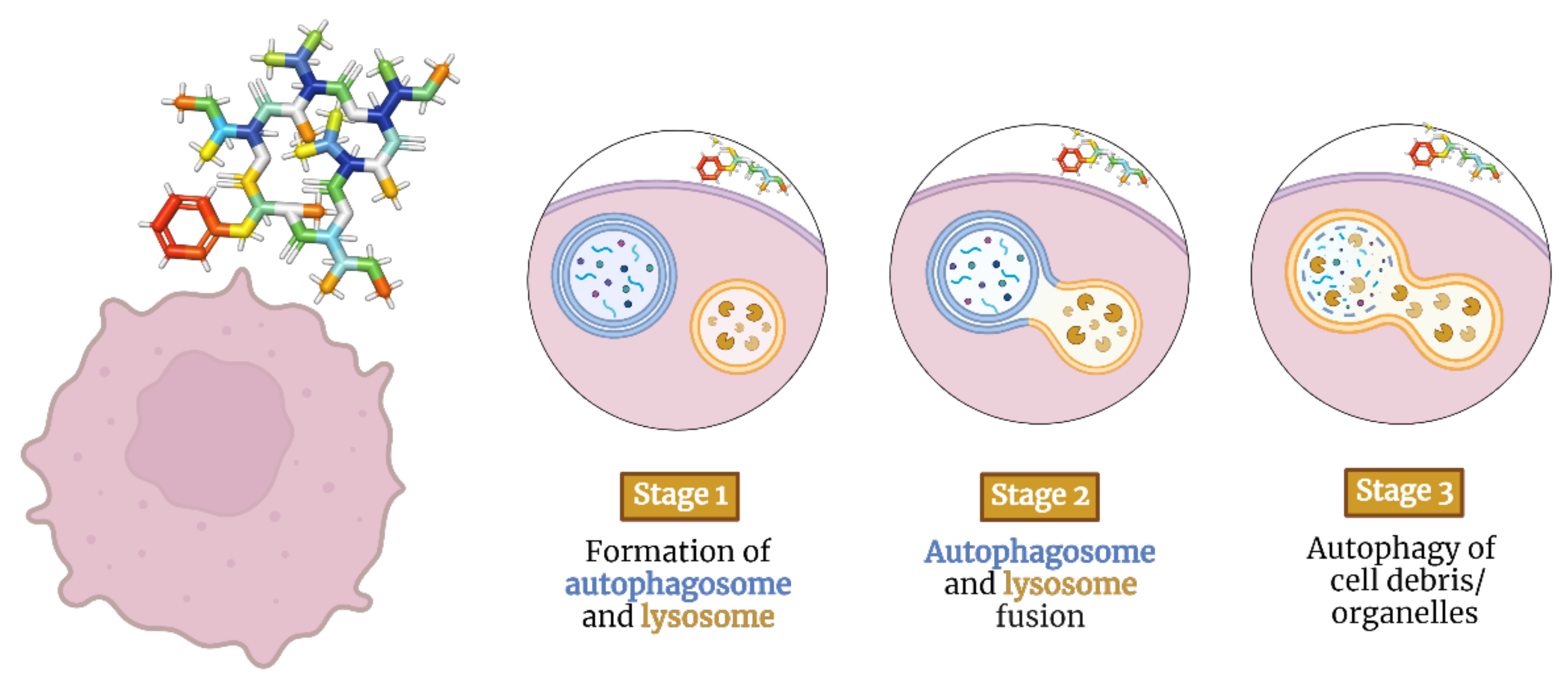 Molecules 28 00670 g003 Molecules 28 00670 g003