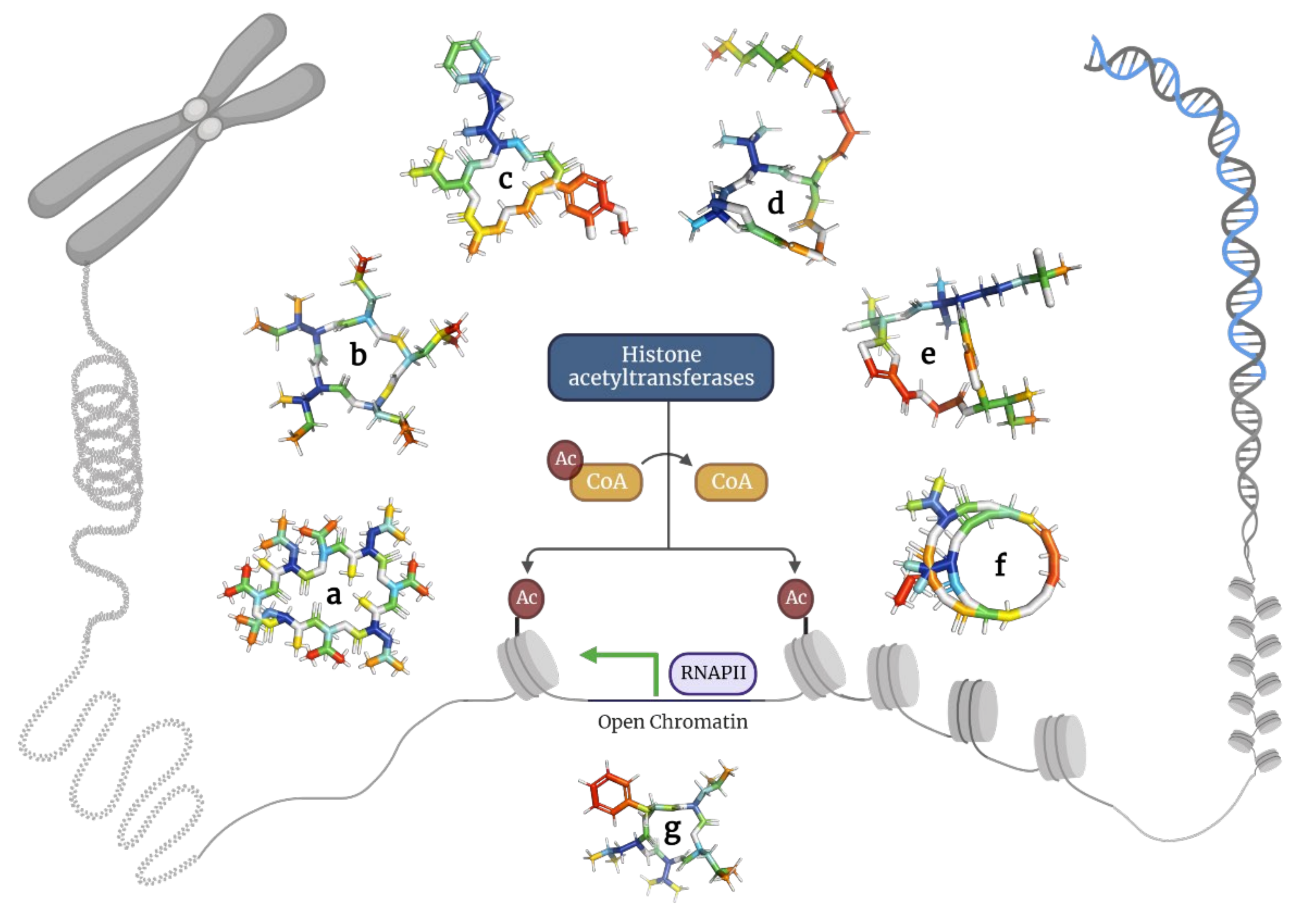 Molecules 28 00670 g005 Molecules 28 00670 g005