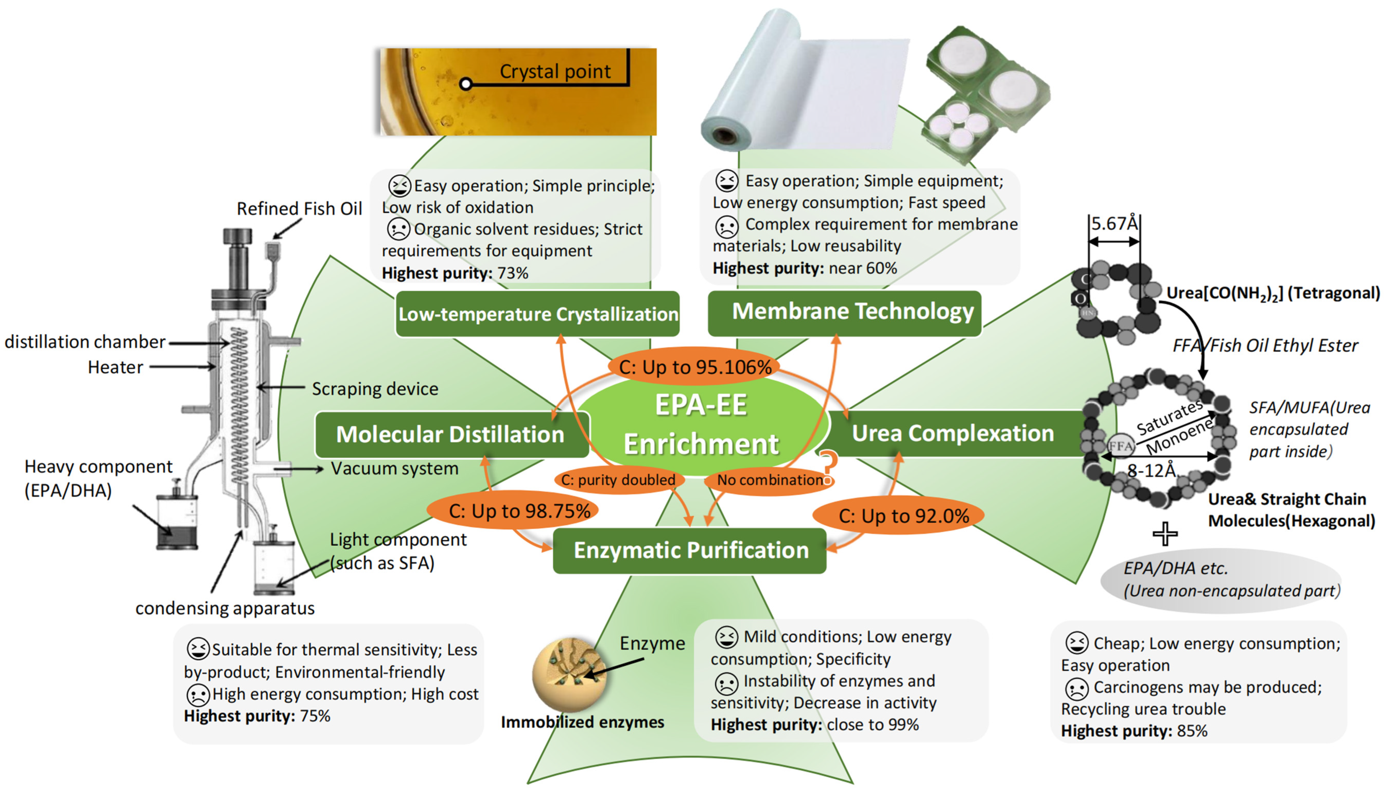 Molecules 28 00672 g003