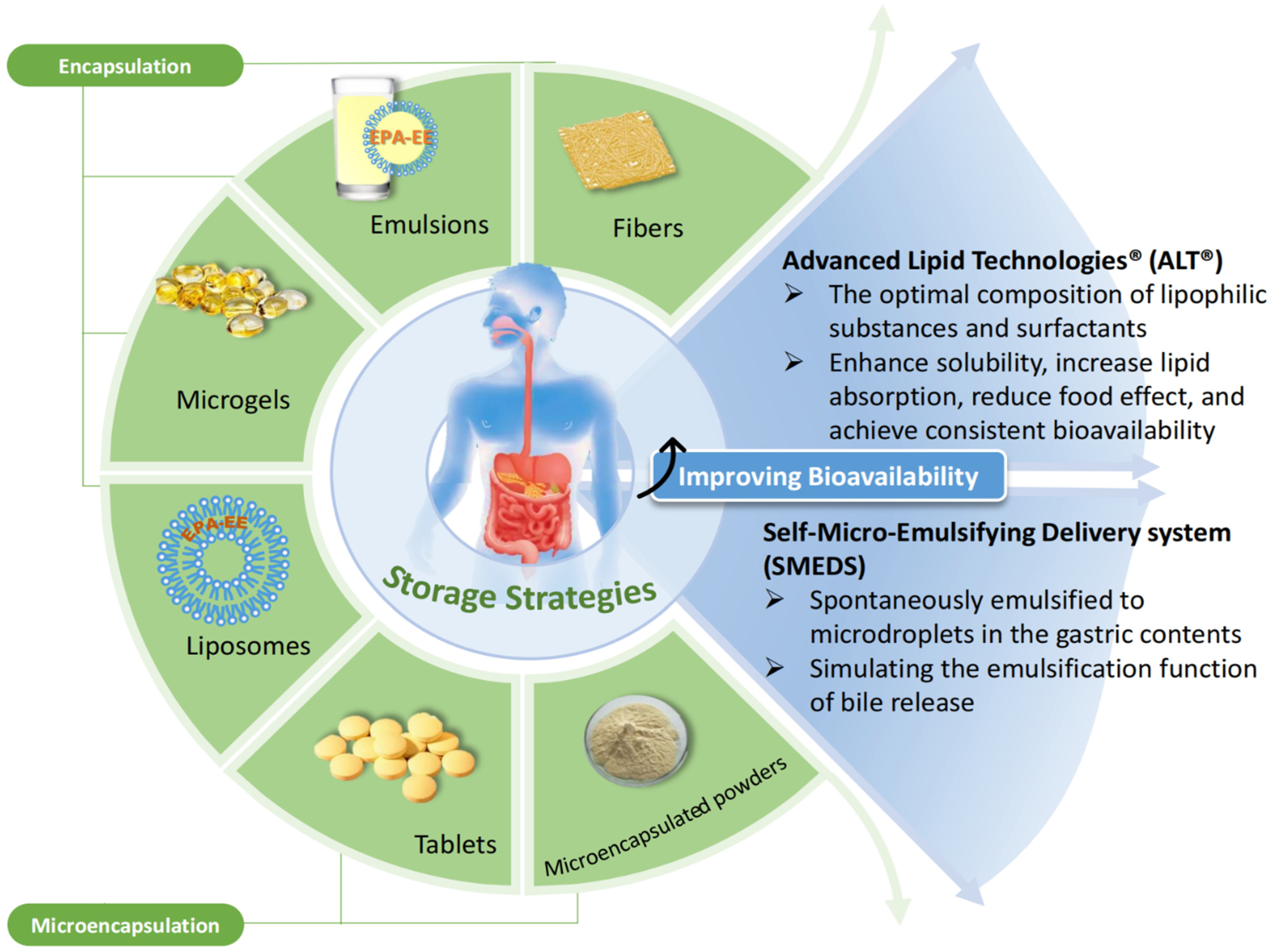 Molecules 28 00672 g004