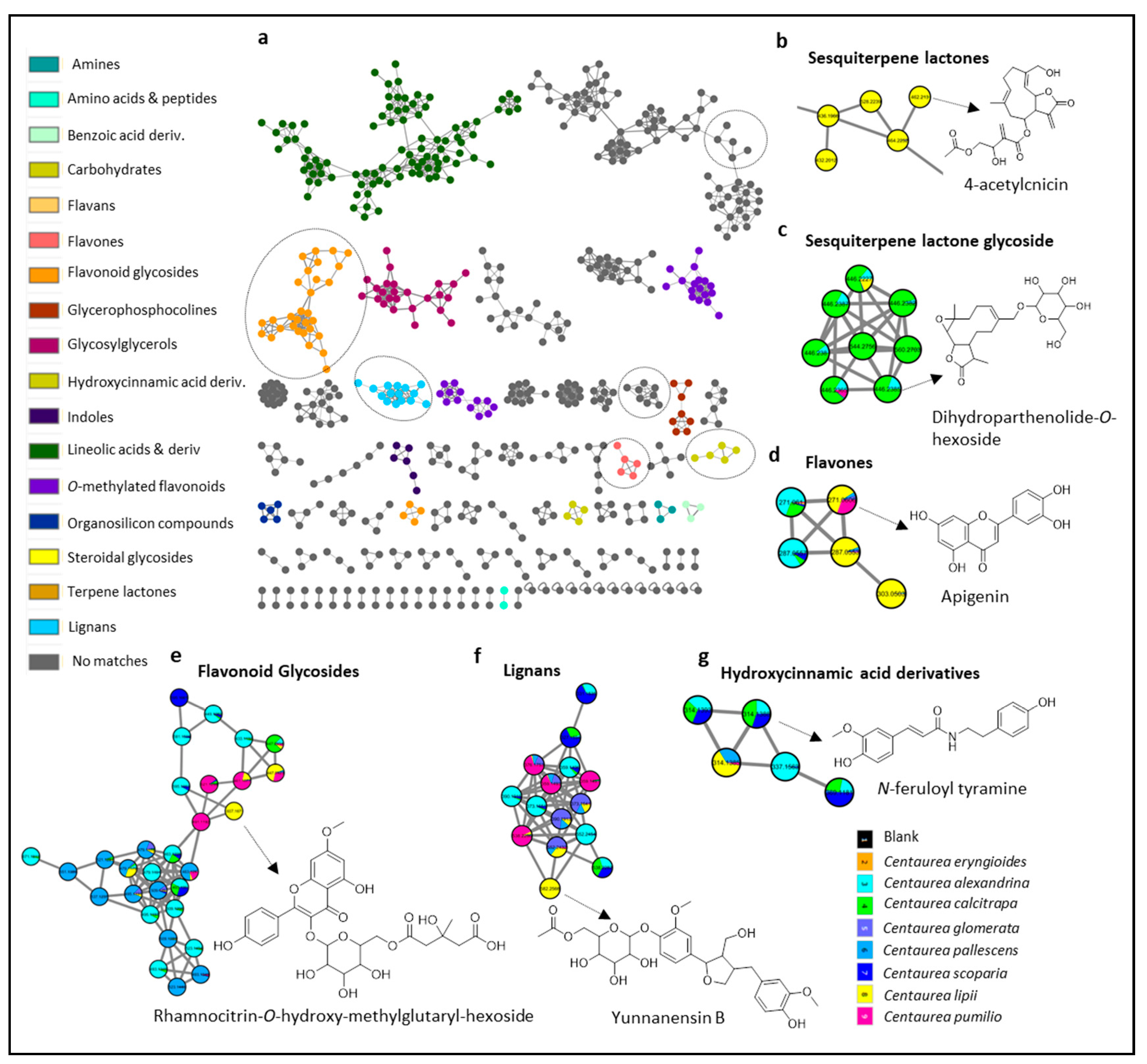 Molecules 28 00674 g001