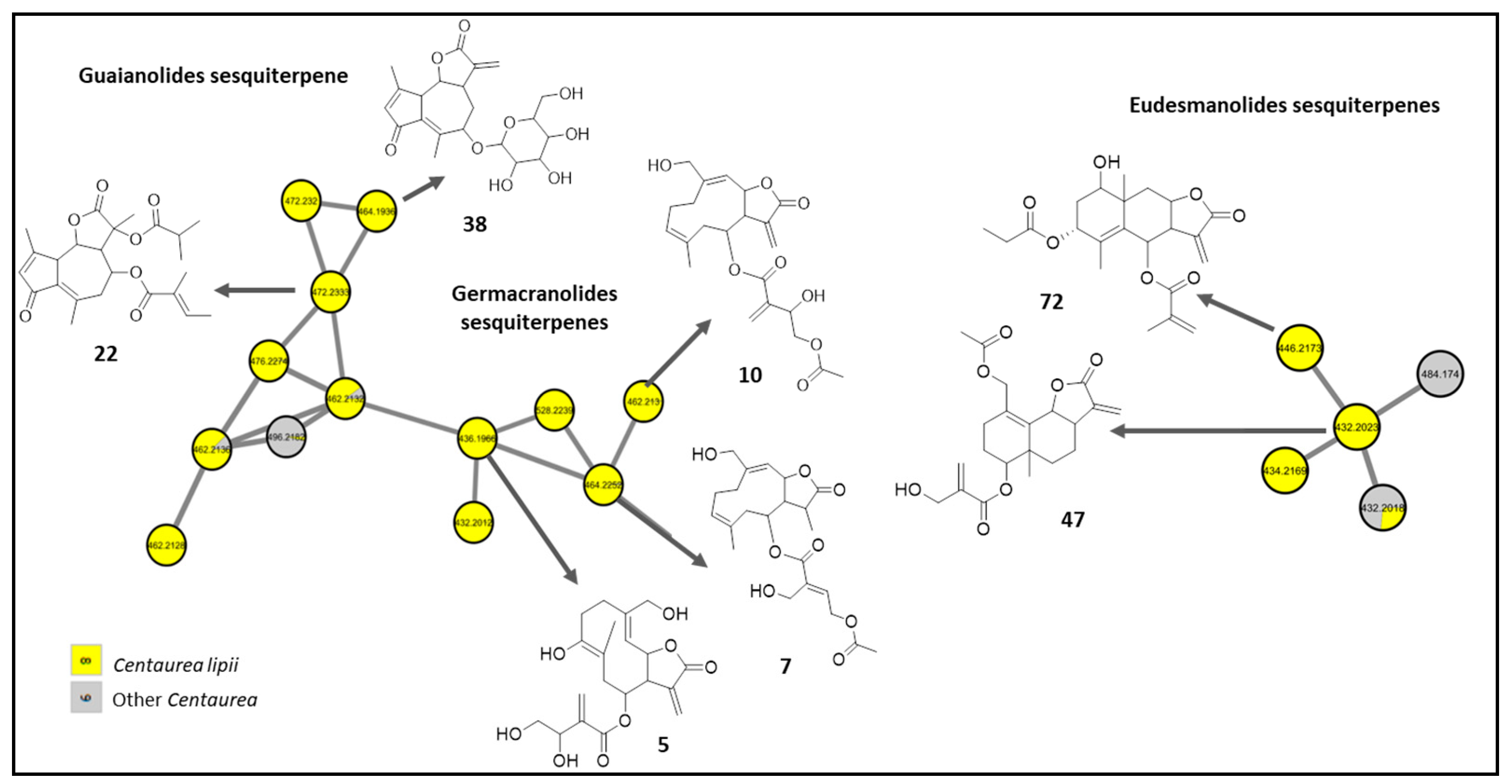 Molecules 28 00674 g003
