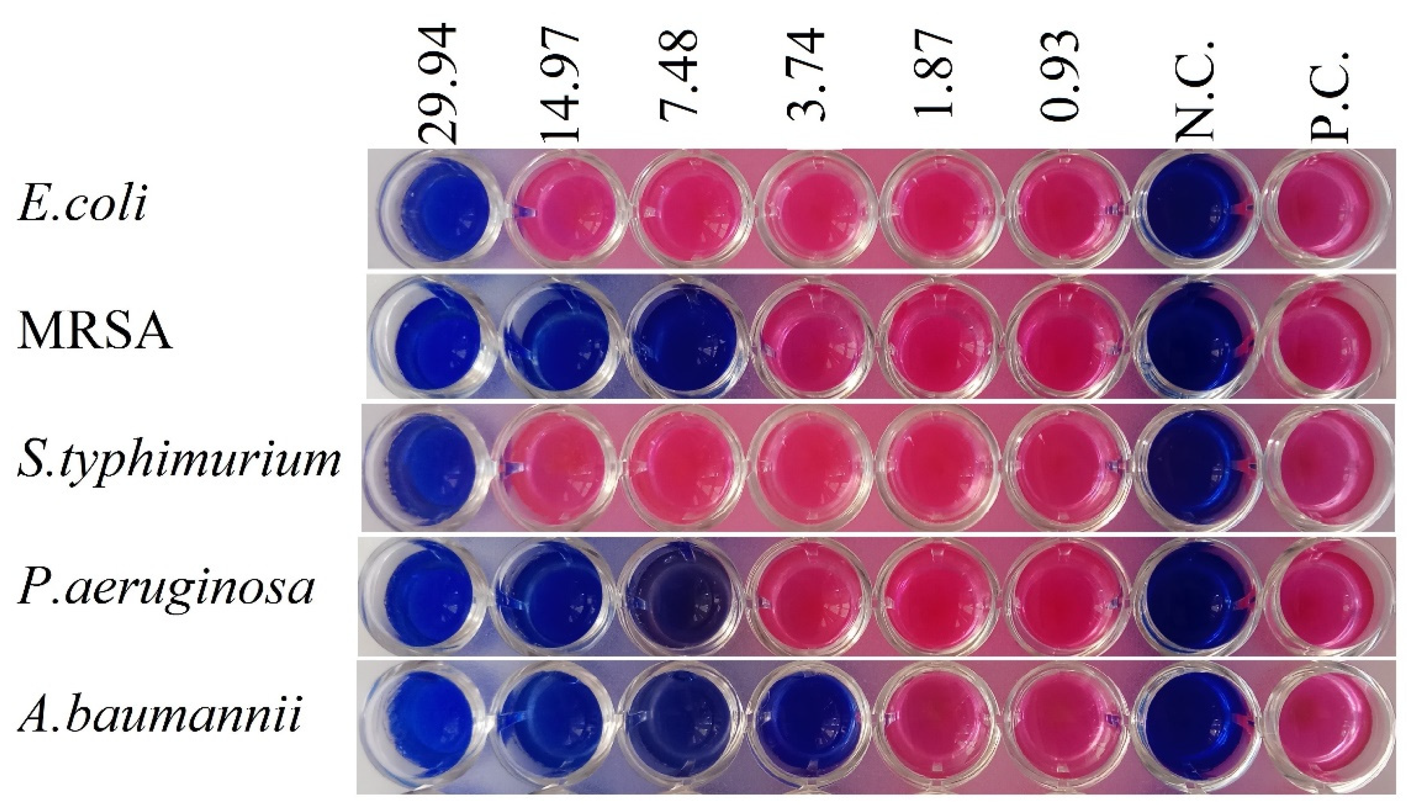 Molecules 28 00678 g002
