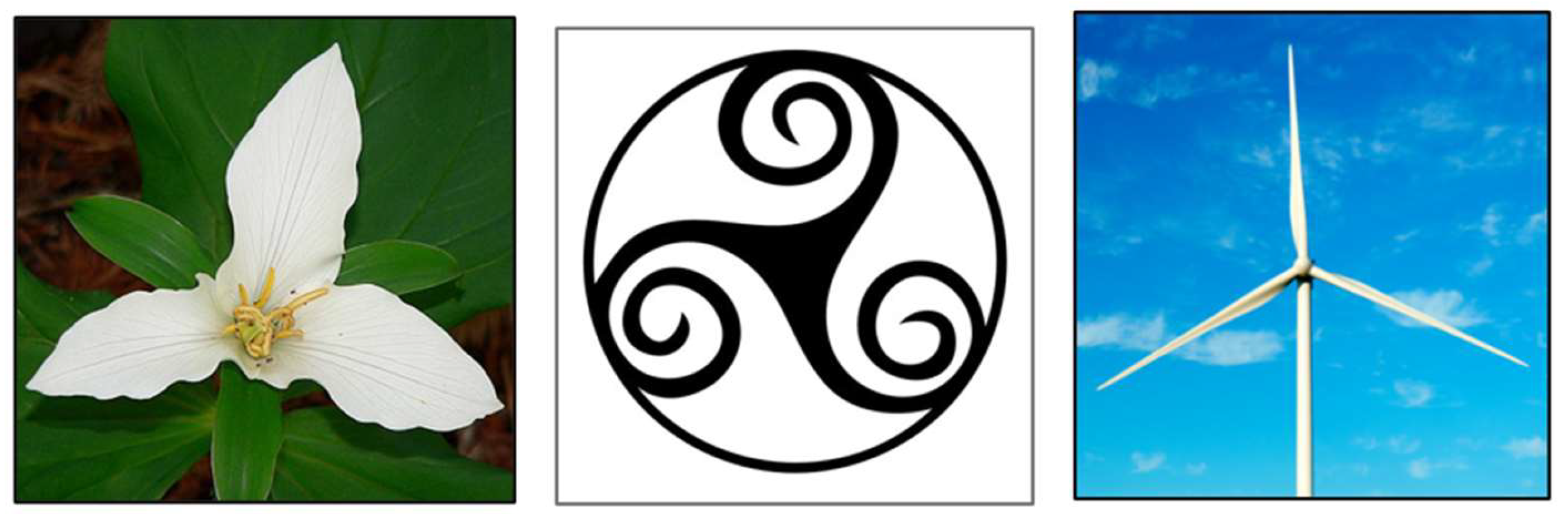 Molecules 28 00679 g001