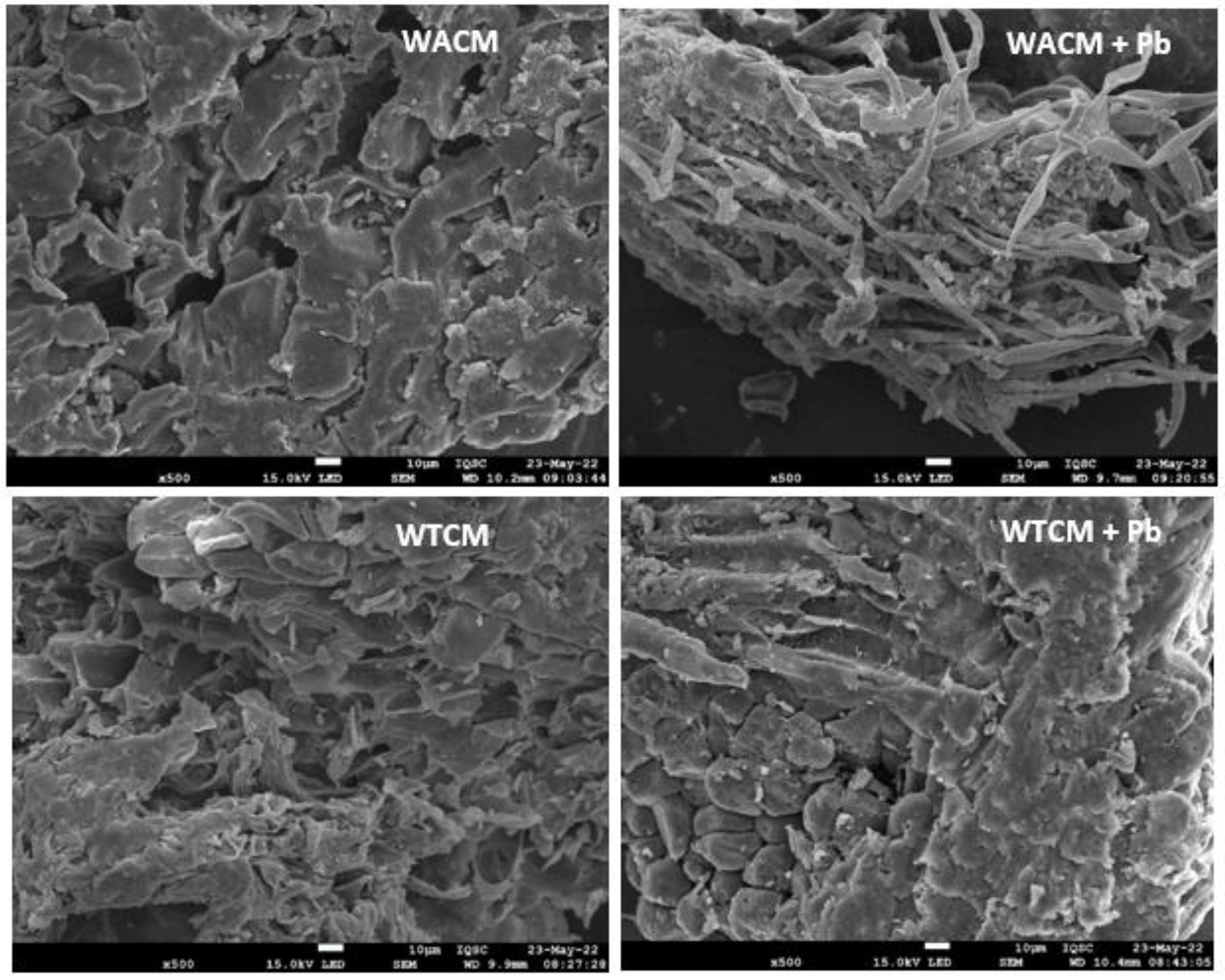 Molecules 28 00683 g002