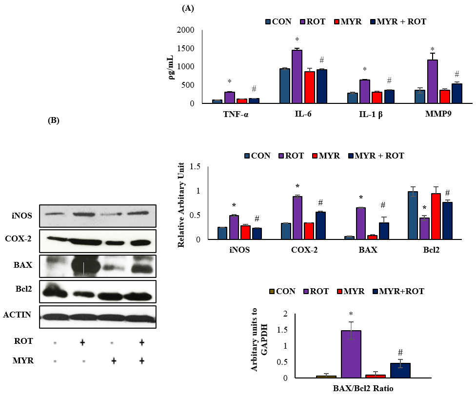 Molecules 28 00685 g002