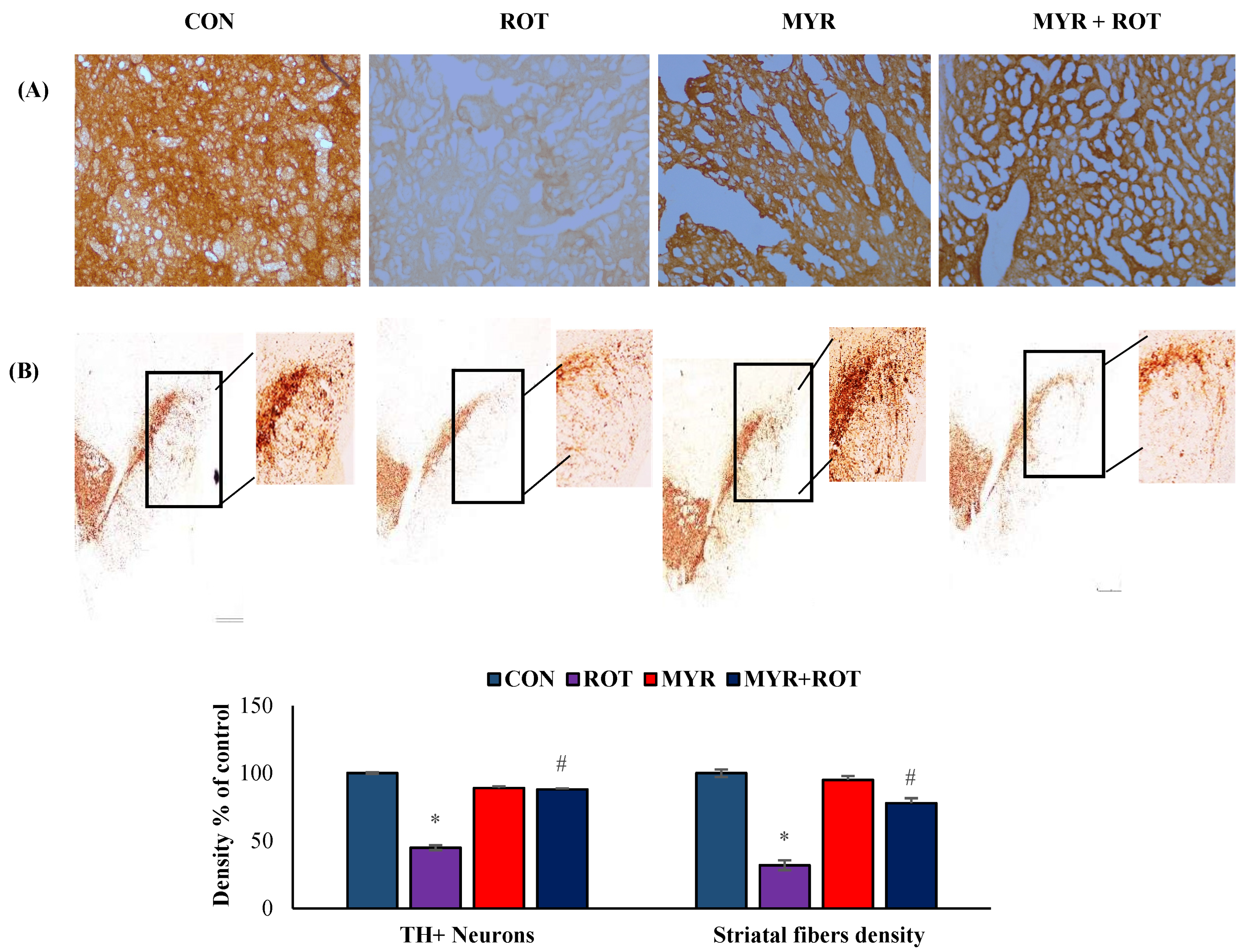 Molecules 28 00685 g003