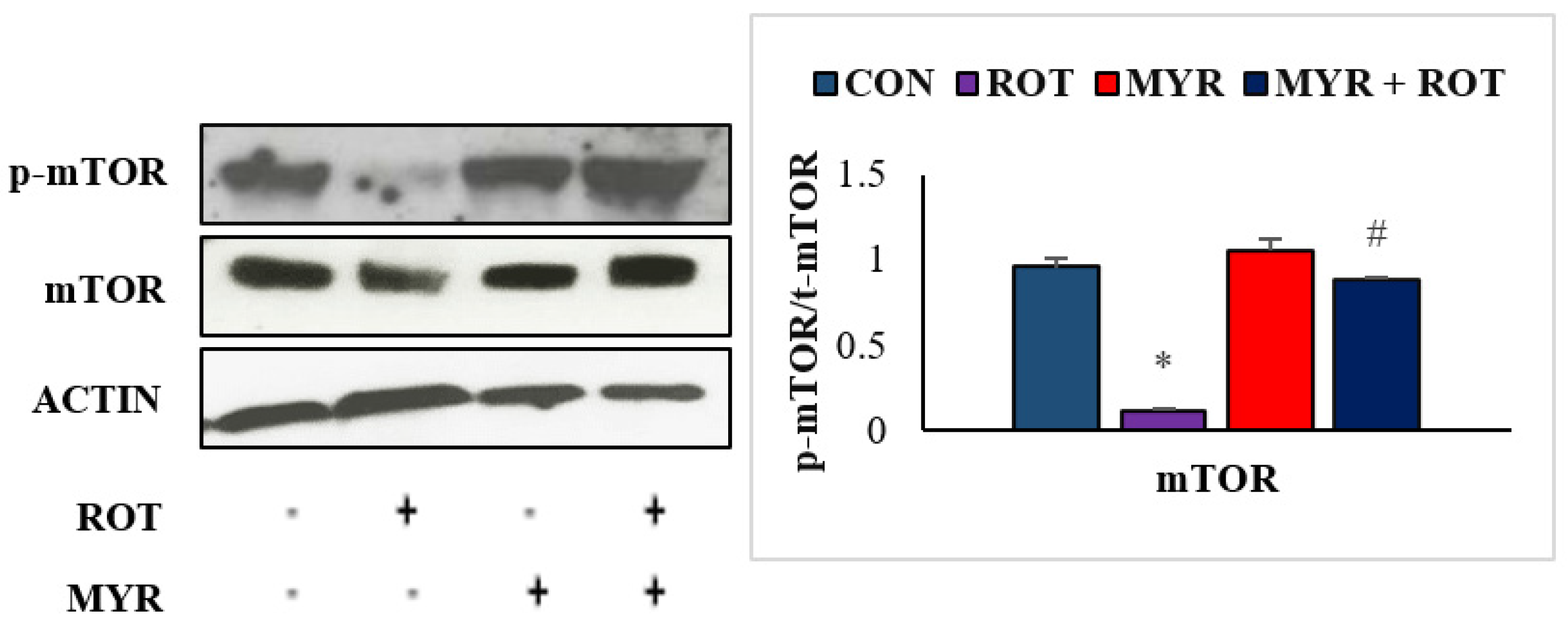 Molecules 28 00685 g006