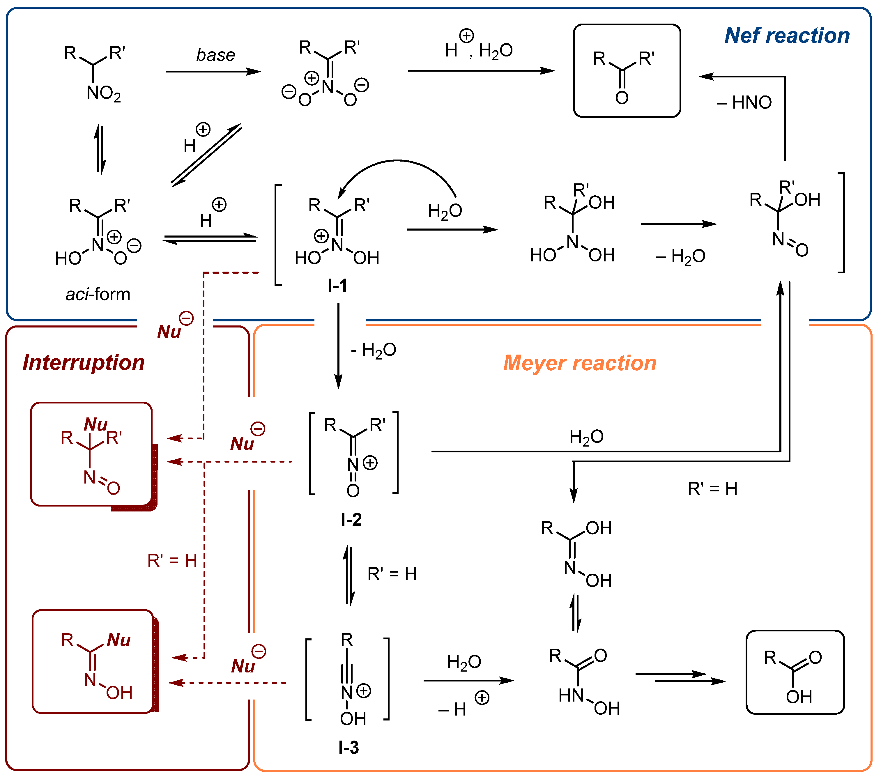 Molecules 28 00686 sch001