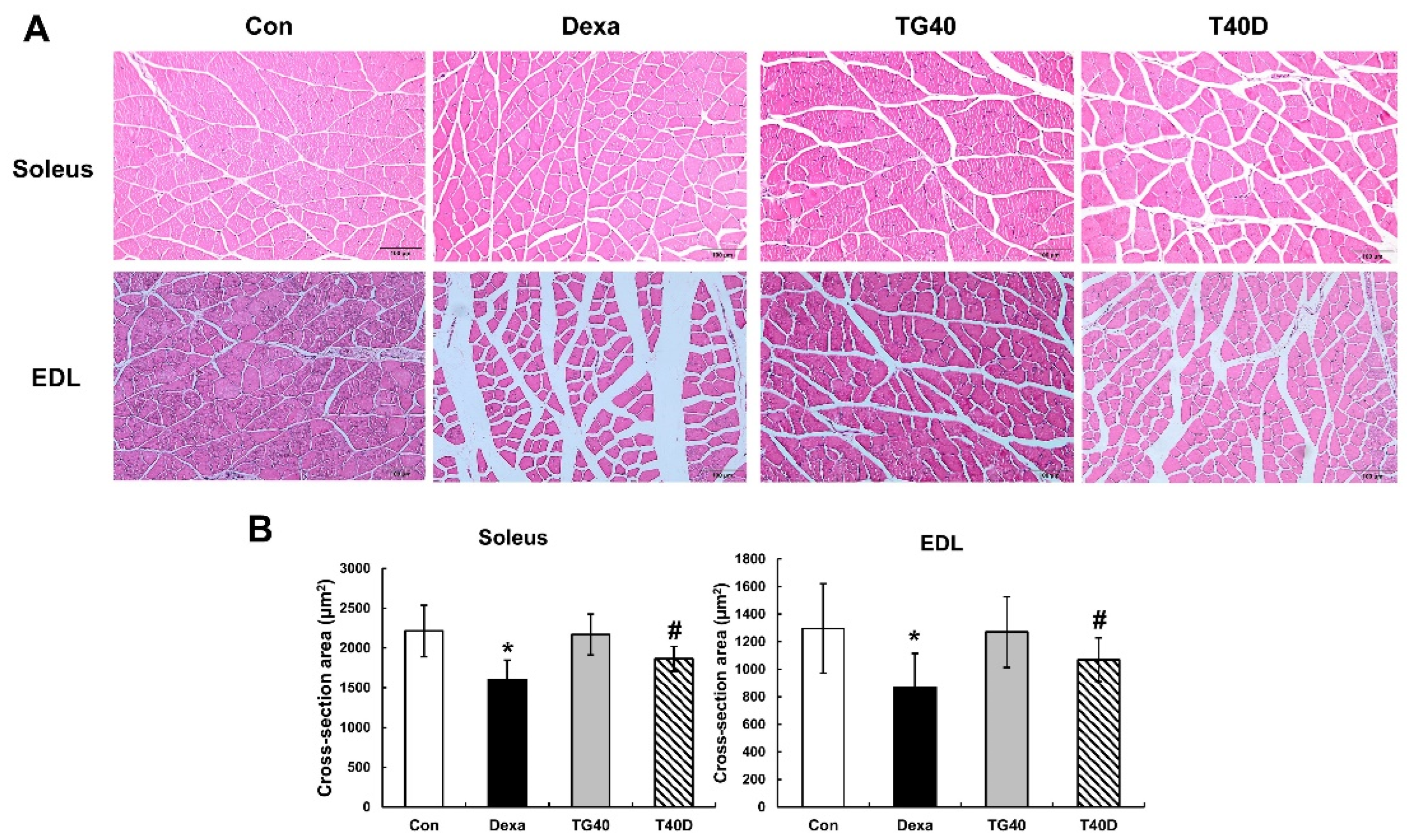 Molecules 28 00688 g003