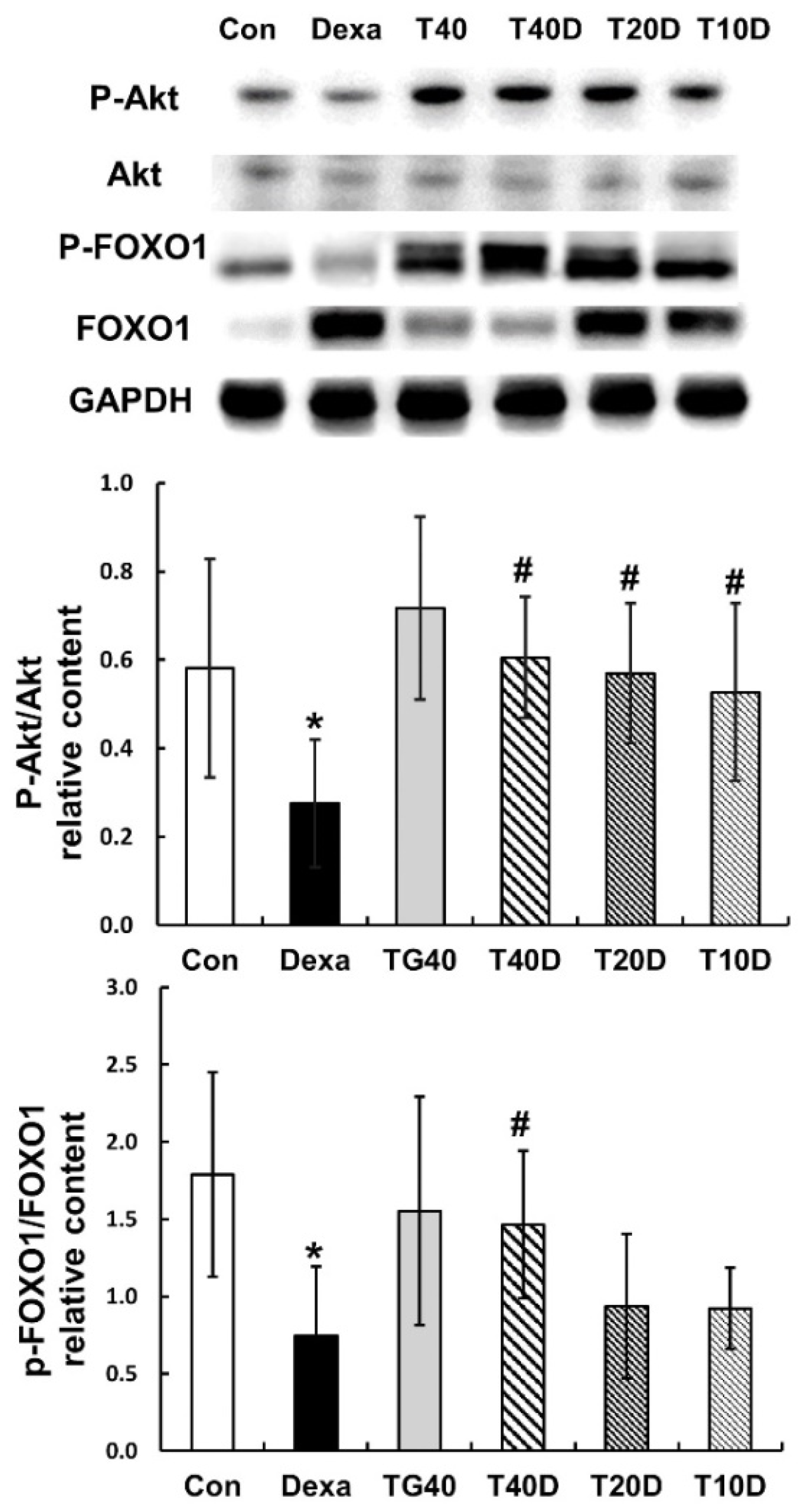 Molecules 28 00688 g005