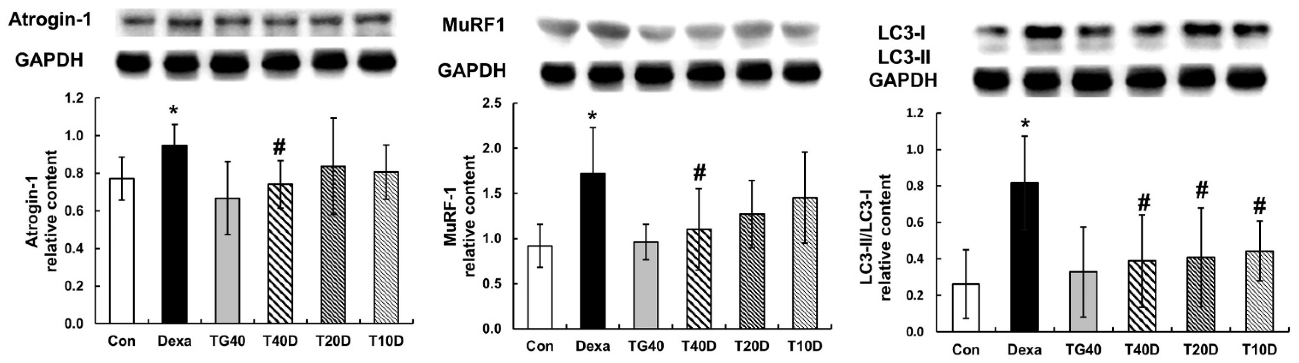 Molecules 28 00688 g006
