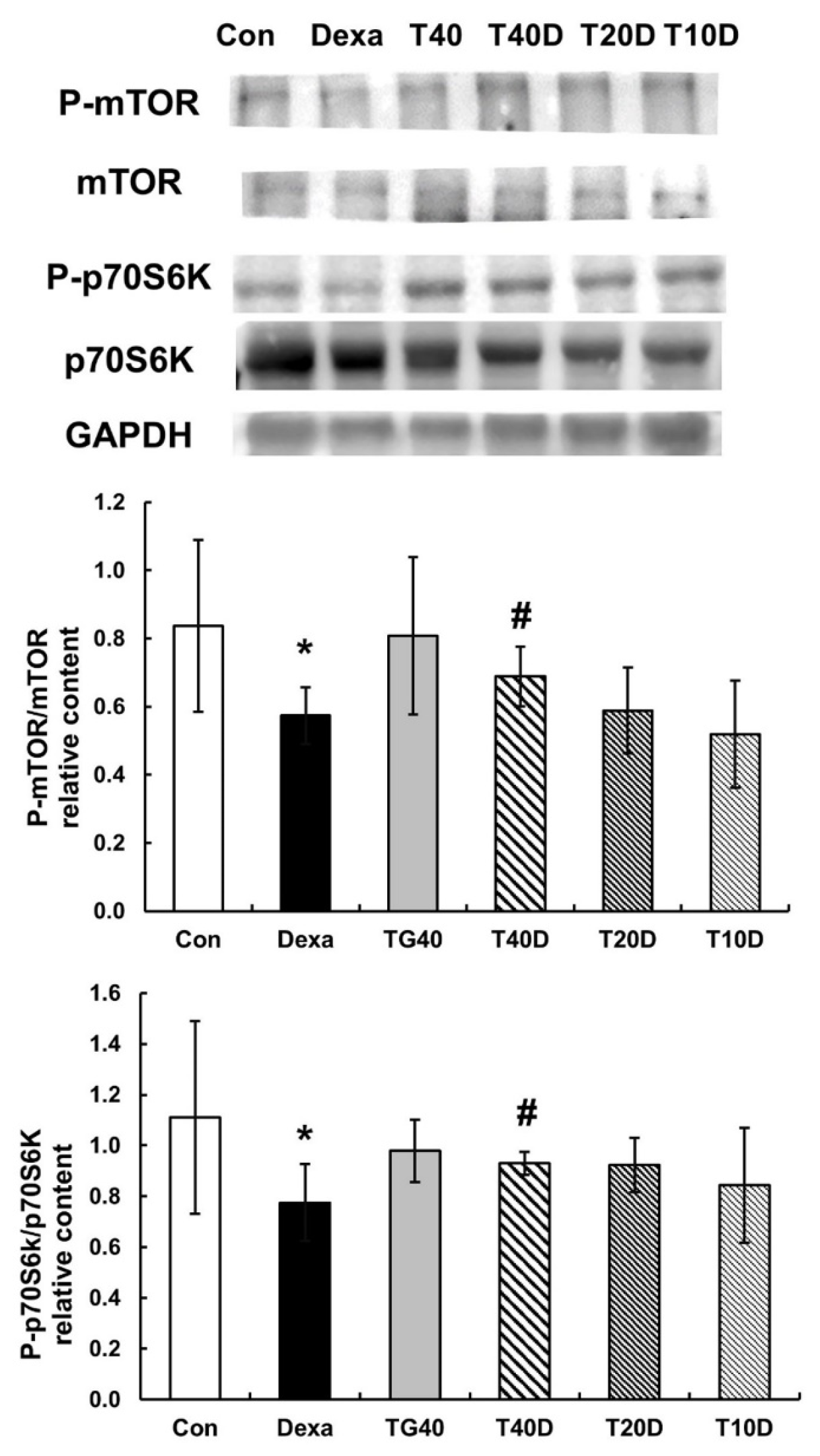 Molecules 28 00688 g007