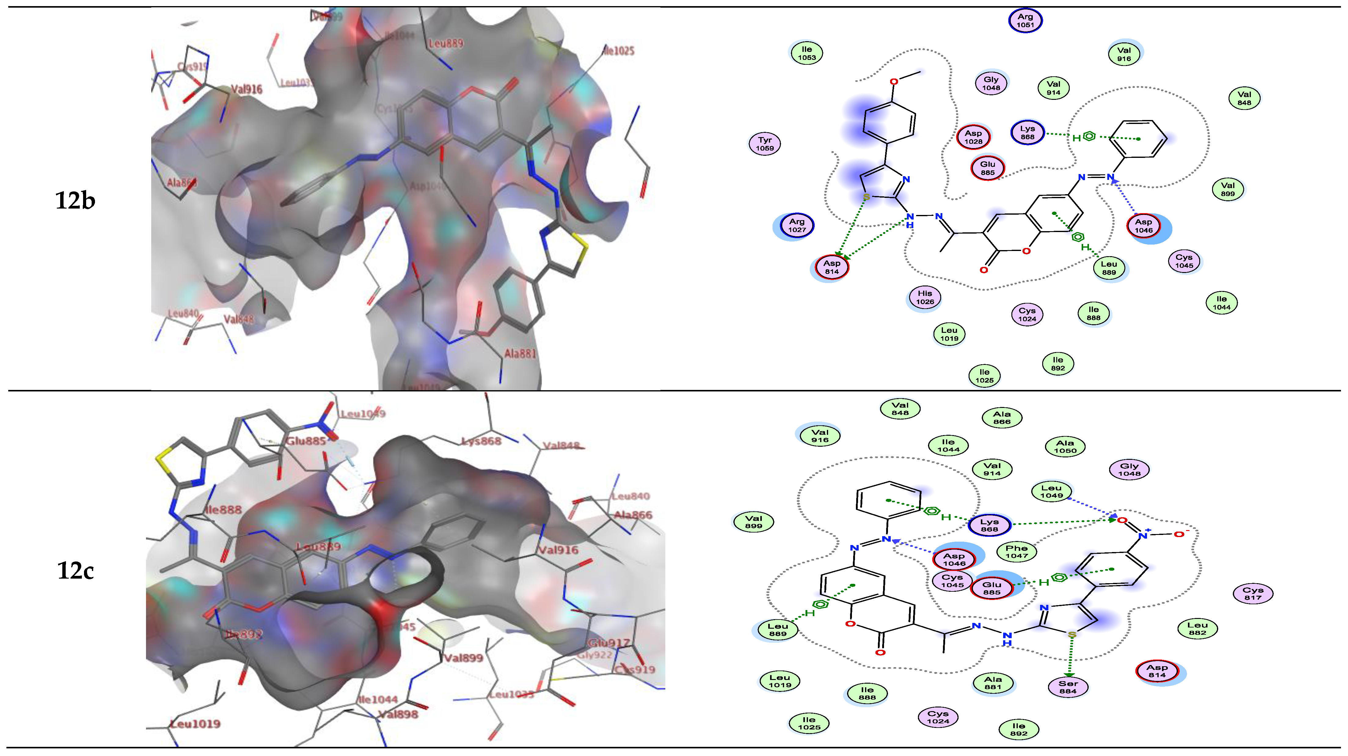 Molecules 28 00689 g004d