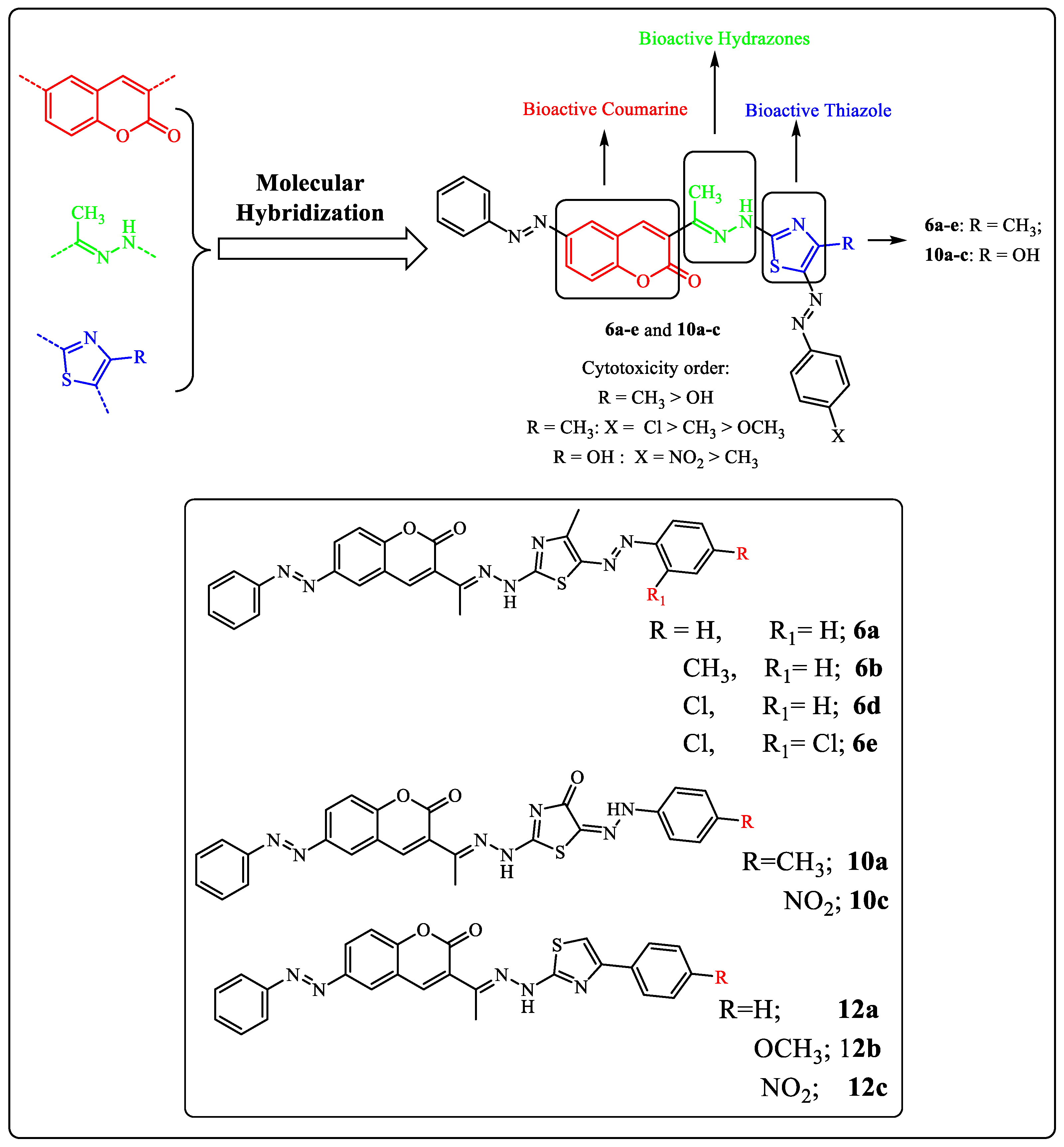 Molecules 28 00689 g006