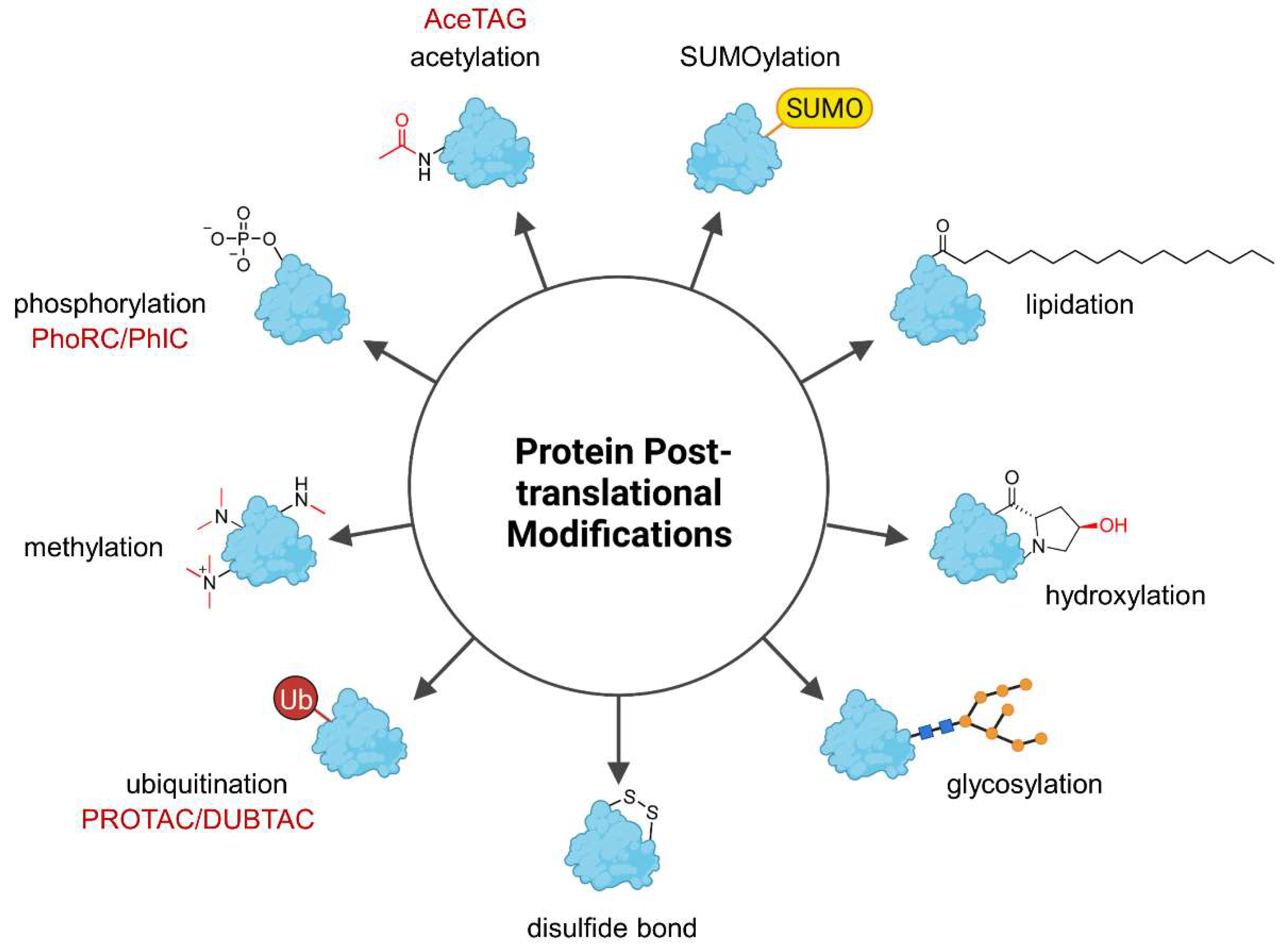 Molecules 28 00690 g001