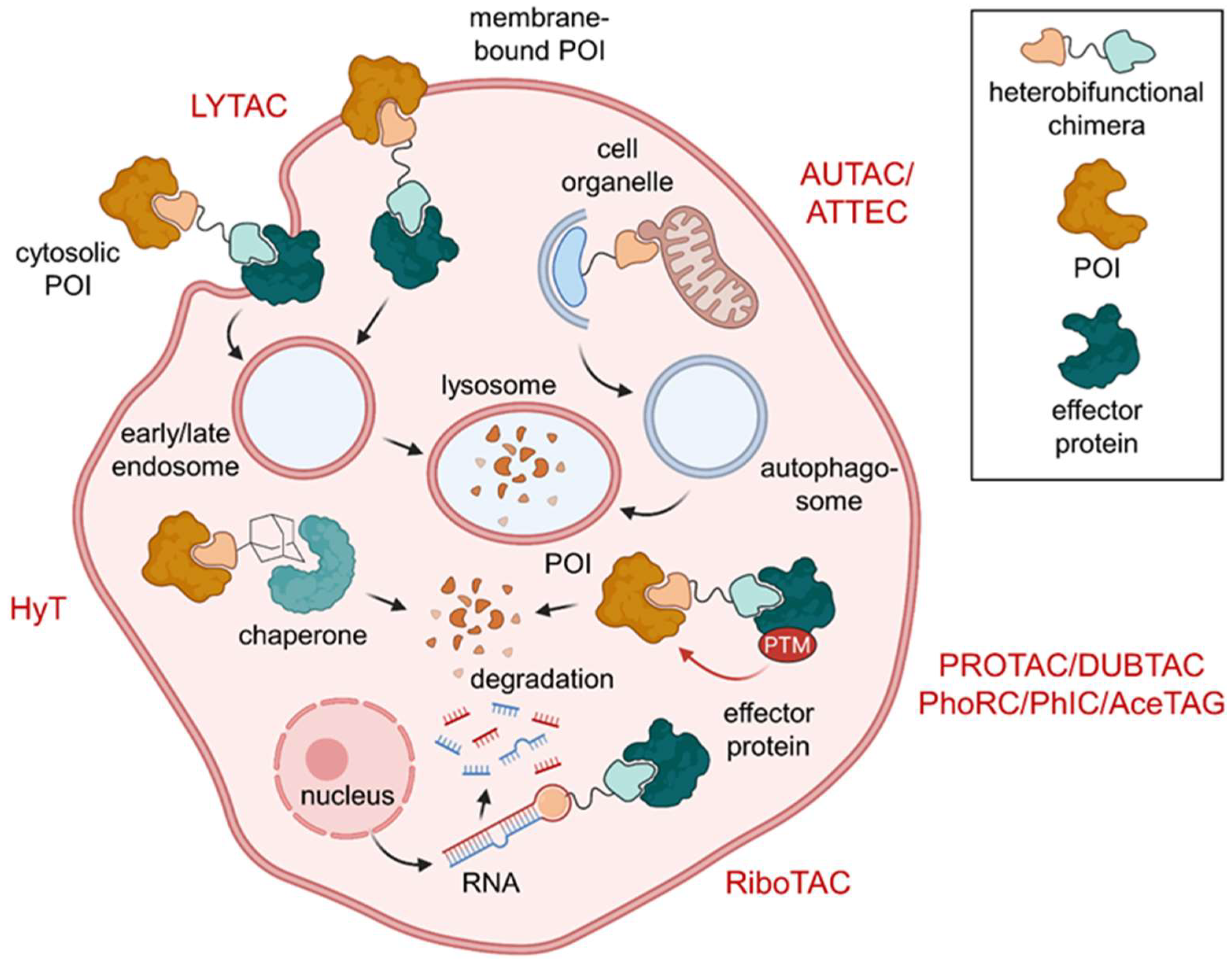 Molecules 28 00690 g002
