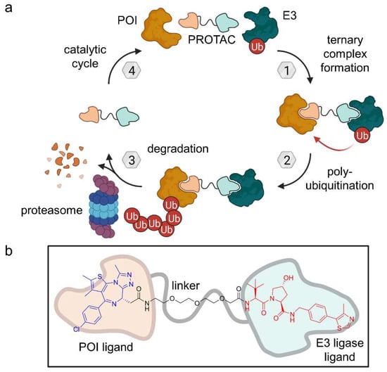 Molecules 28 00690 g004