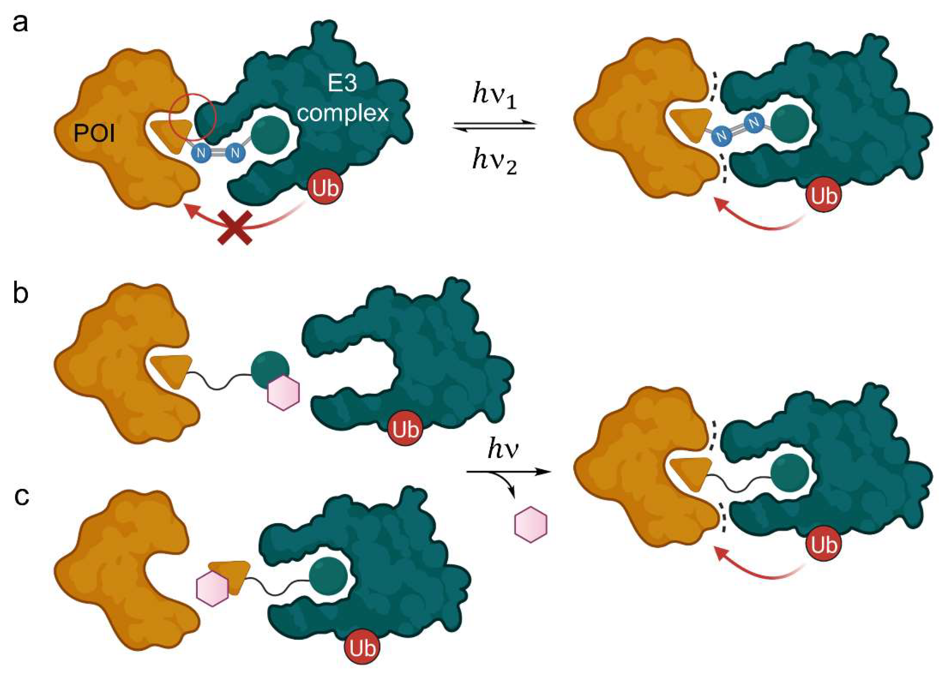 Molecules 28 00690 g005
