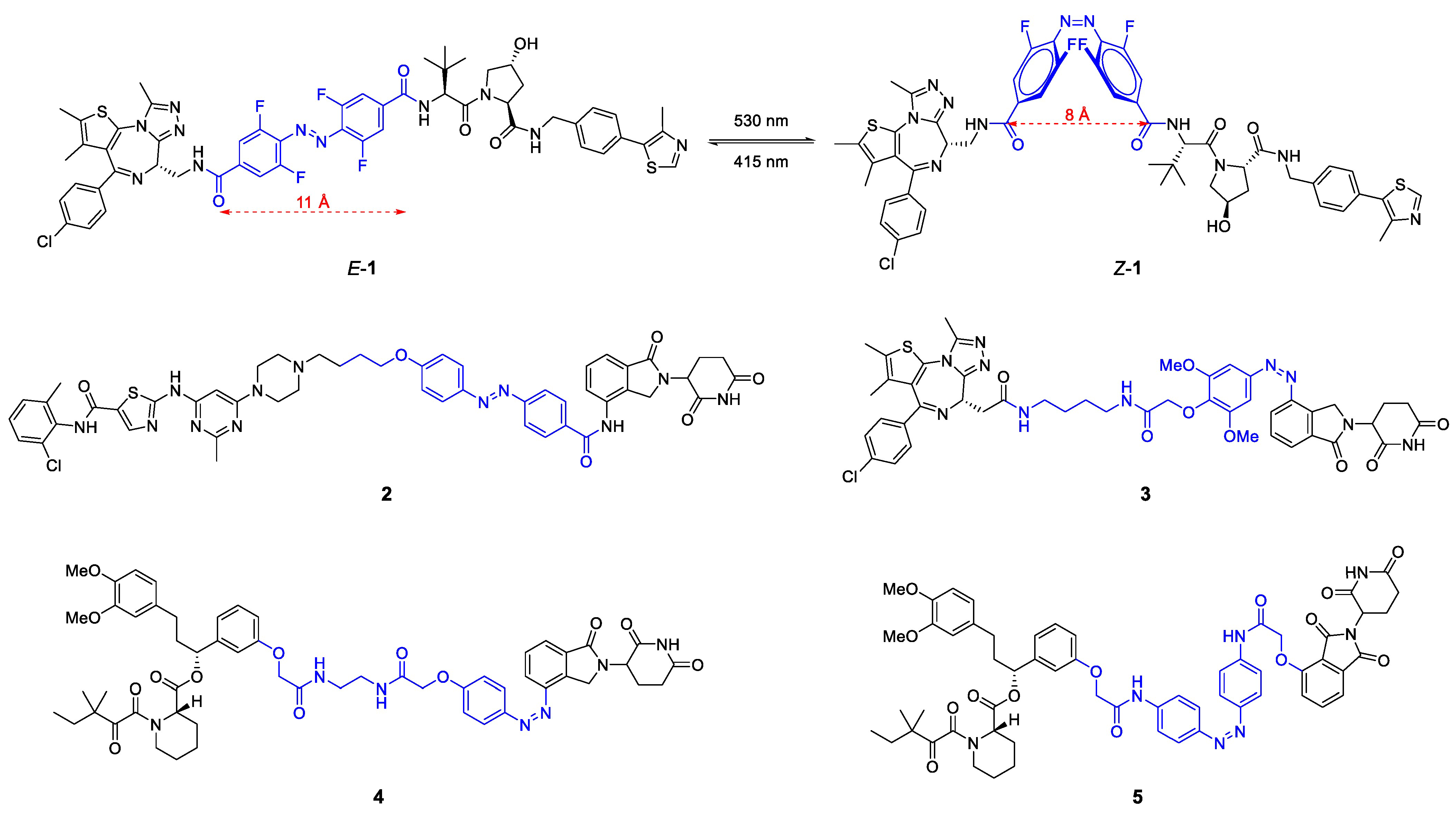 Molecules 28 00690 g006