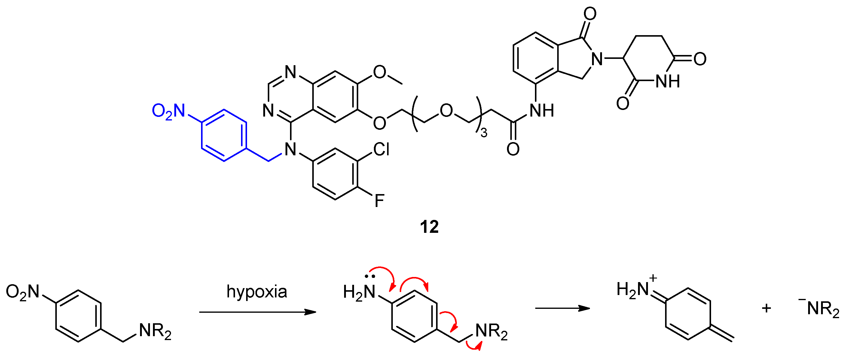 Molecules 28 00690 g008
