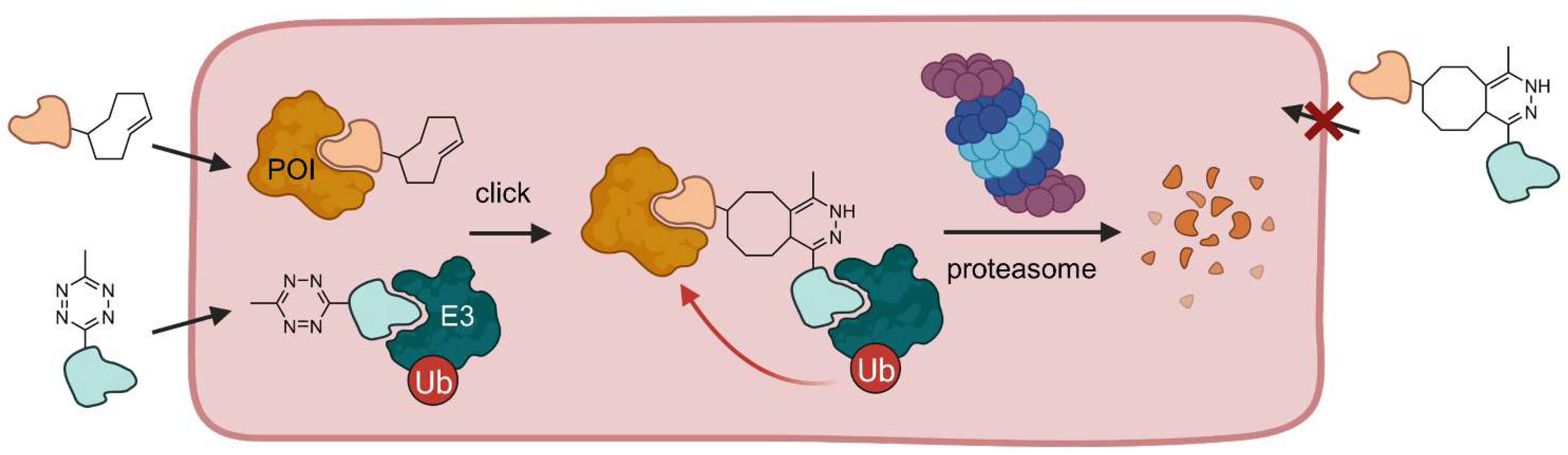 Molecules 28 00690 g009