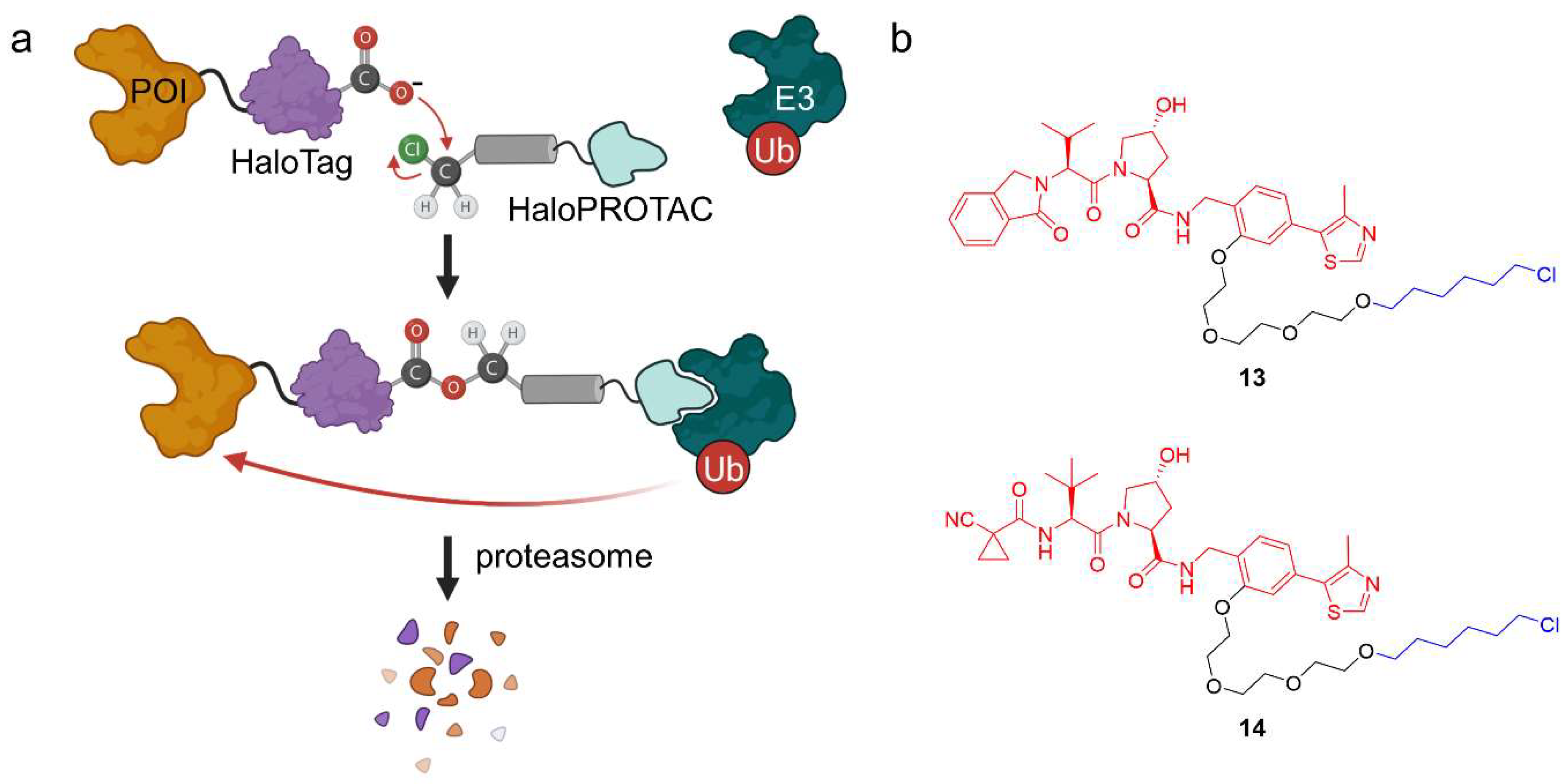 Molecules 28 00690 g010