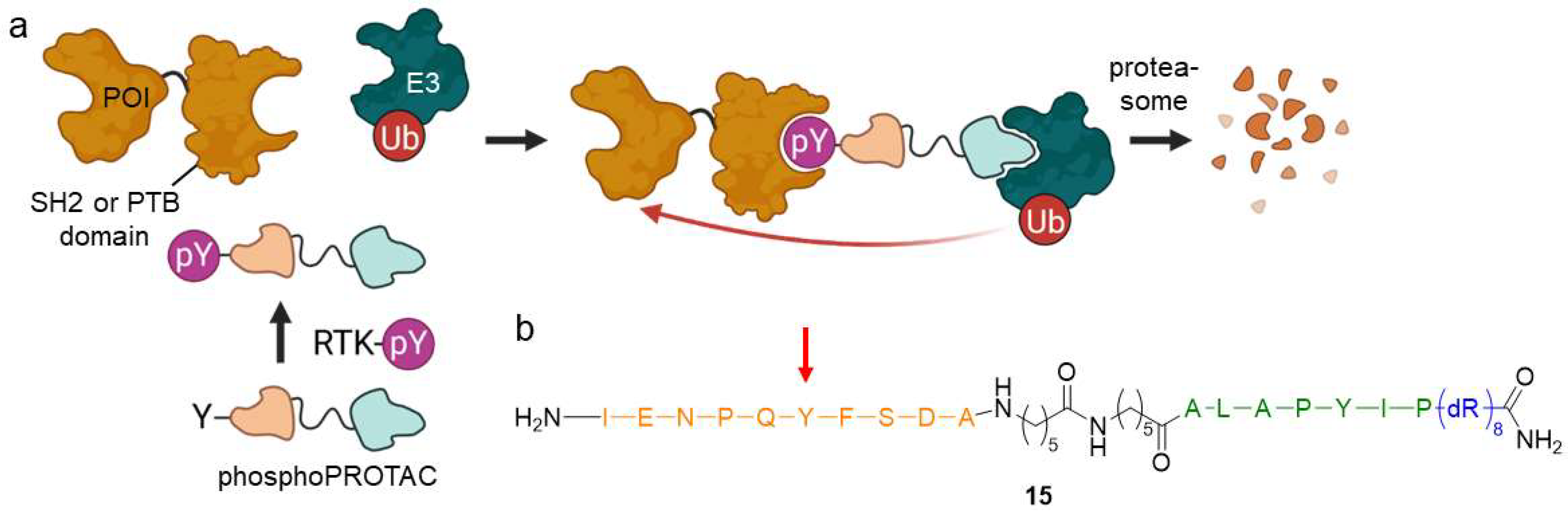 Molecules 28 00690 g011