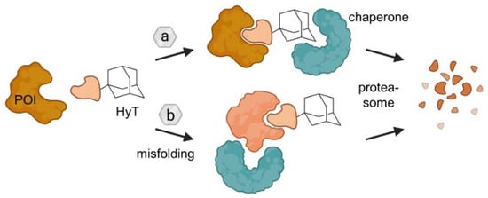 Molecules 28 00690 g012