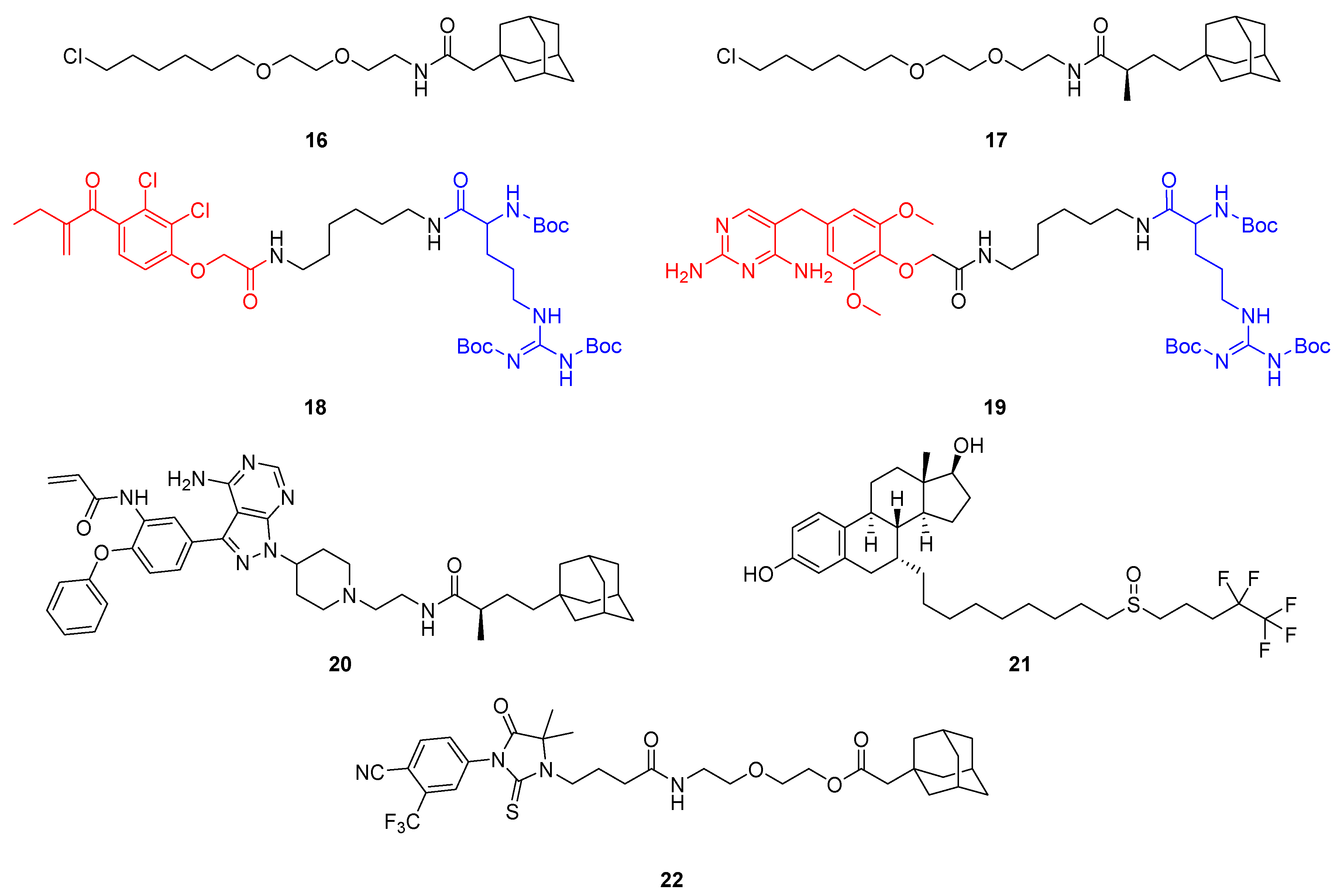 Molecules 28 00690 g013