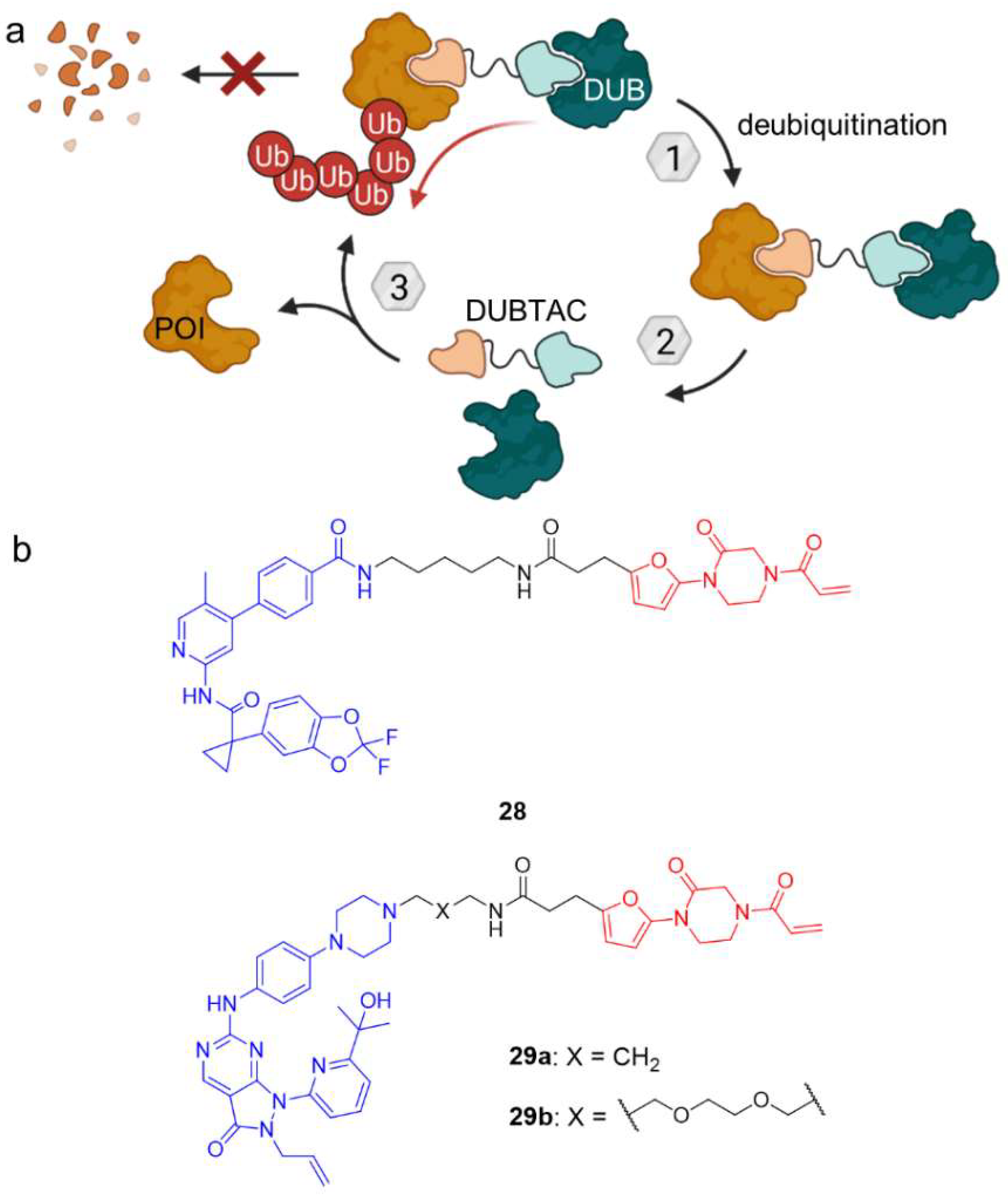 Molecules 28 00690 g015