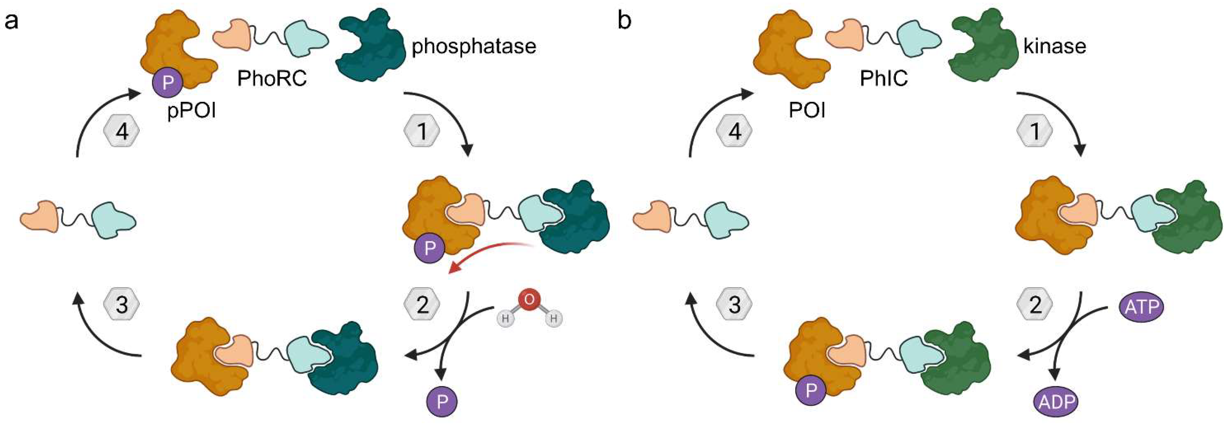 Molecules 28 00690 g016