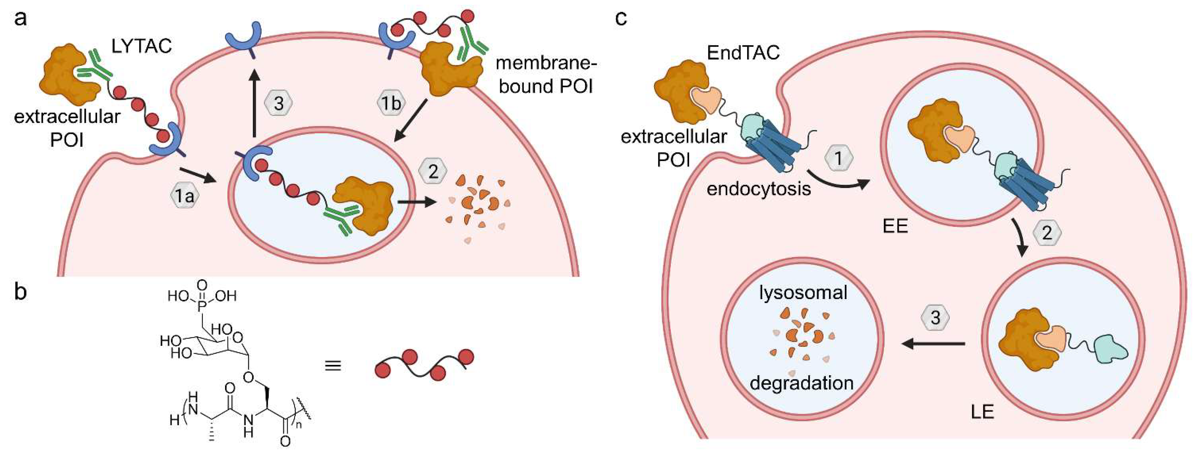 Molecules 28 00690 g020