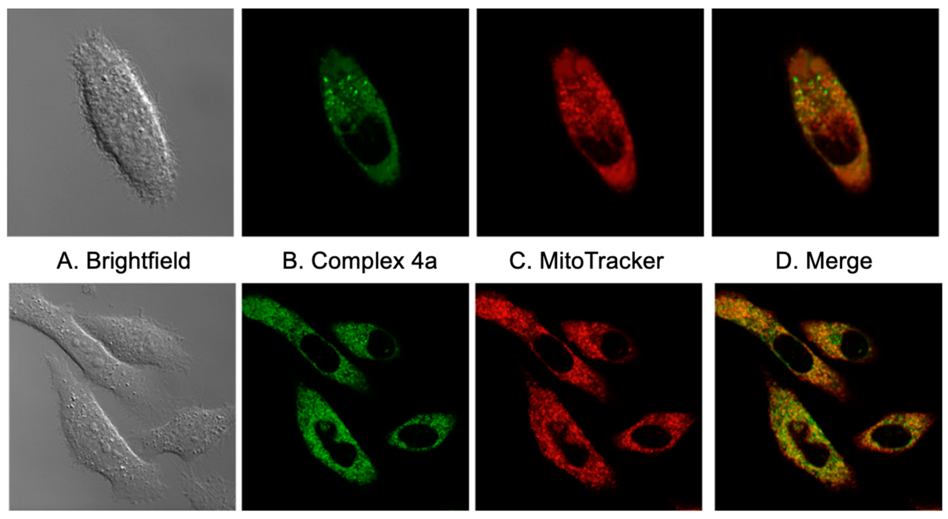 Molecules 28 00691 g009