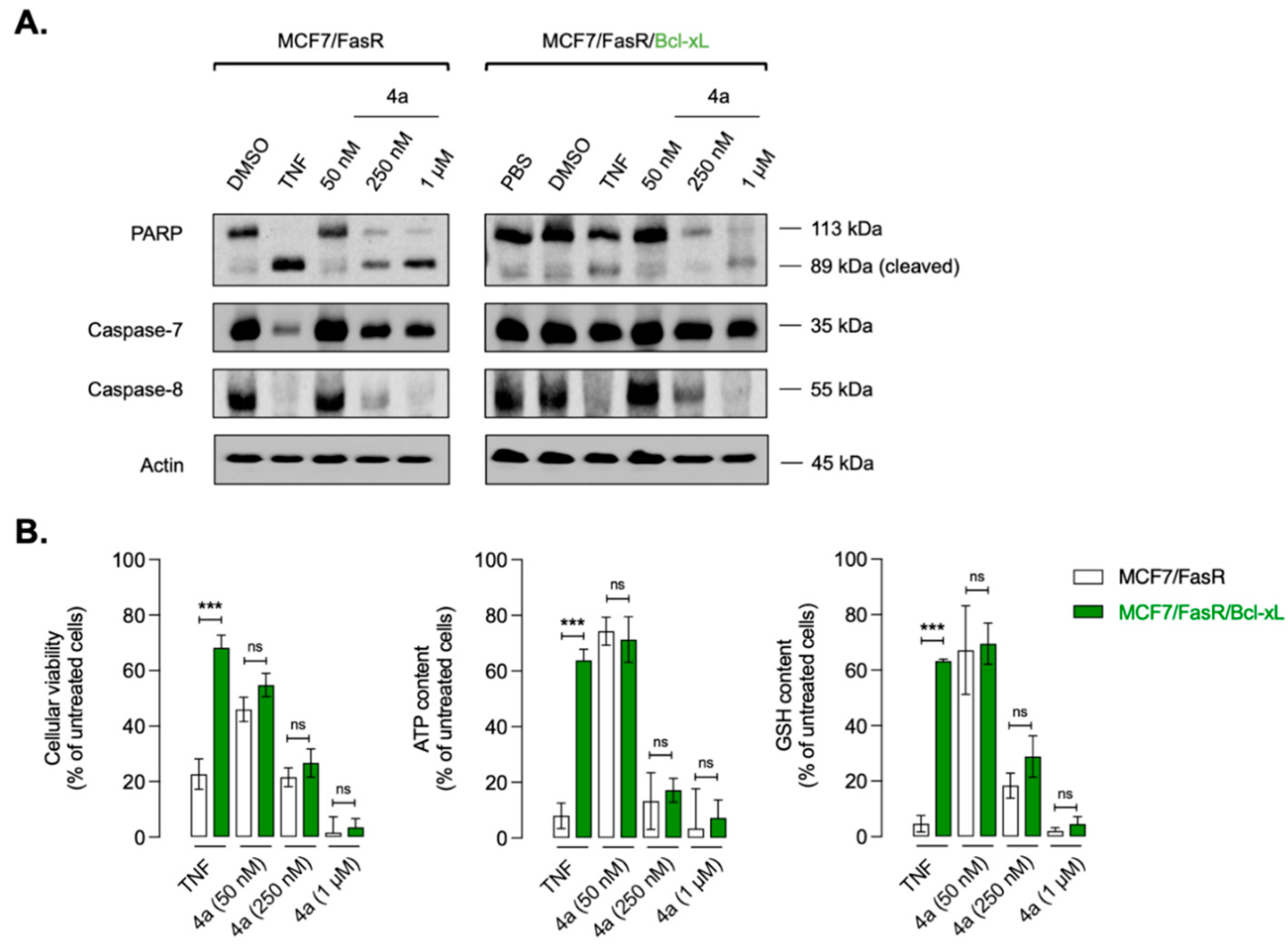 Molecules 28 00691 g013