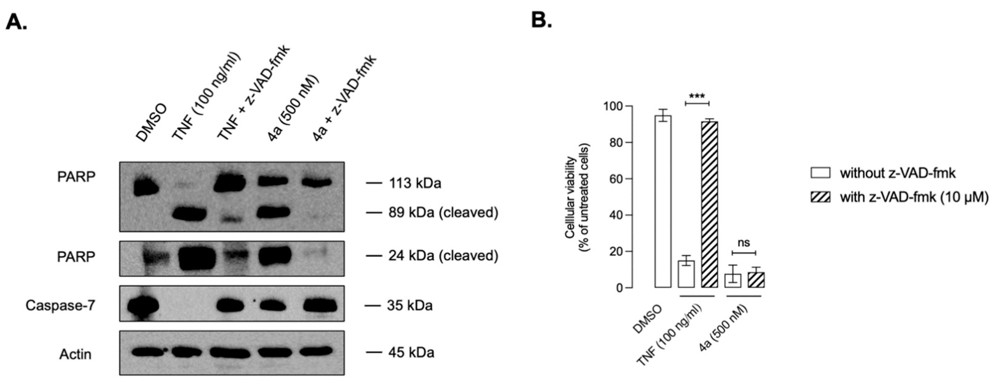 Molecules 28 00691 g014