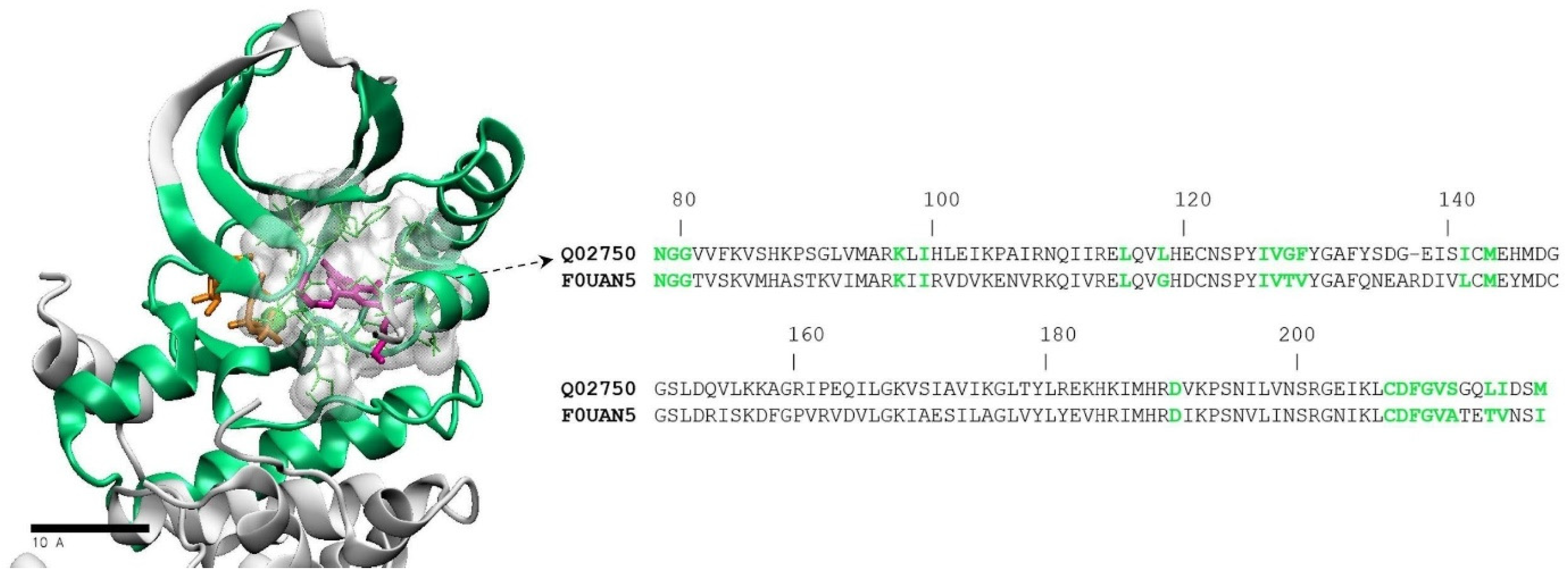 Molecules 28 00692 g007