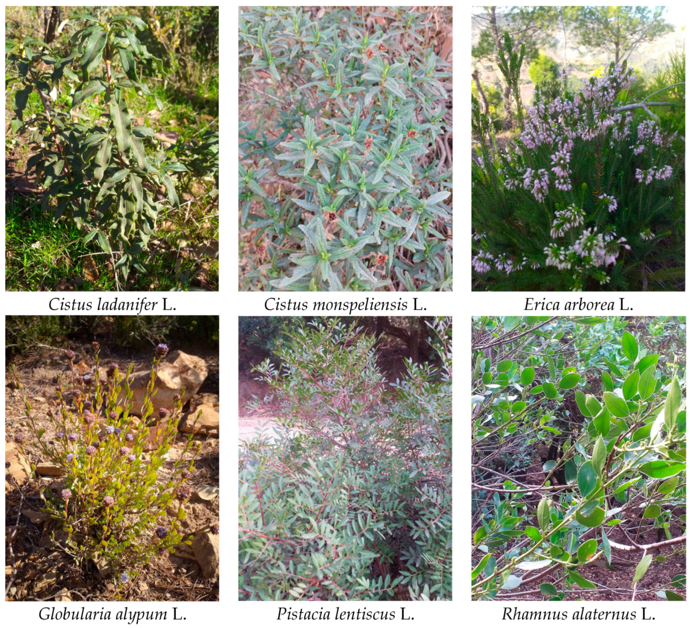 Molecules 28 00697 g004 Molecules 28 00697 g004