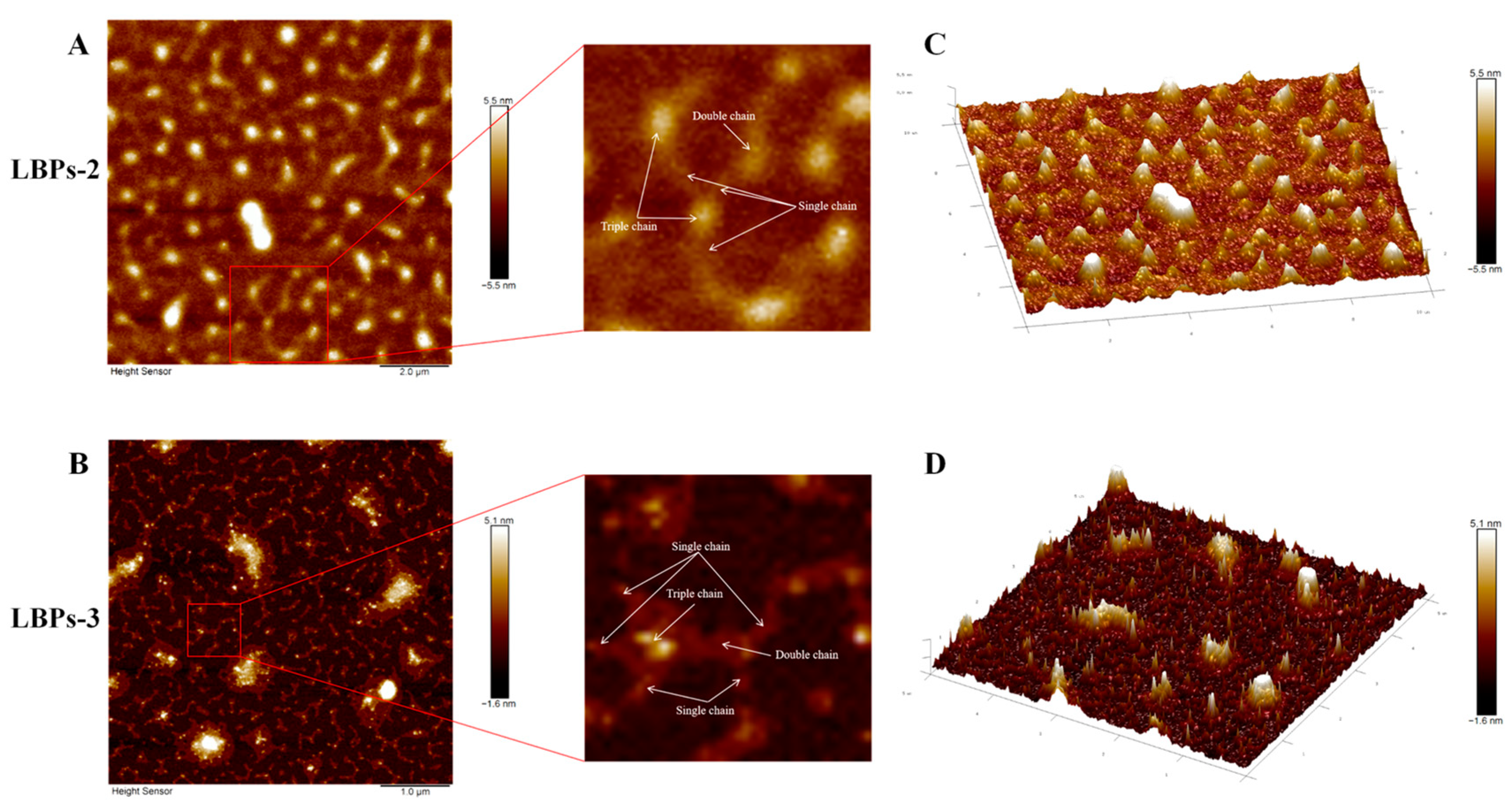 Molecules 28 00701 g006
