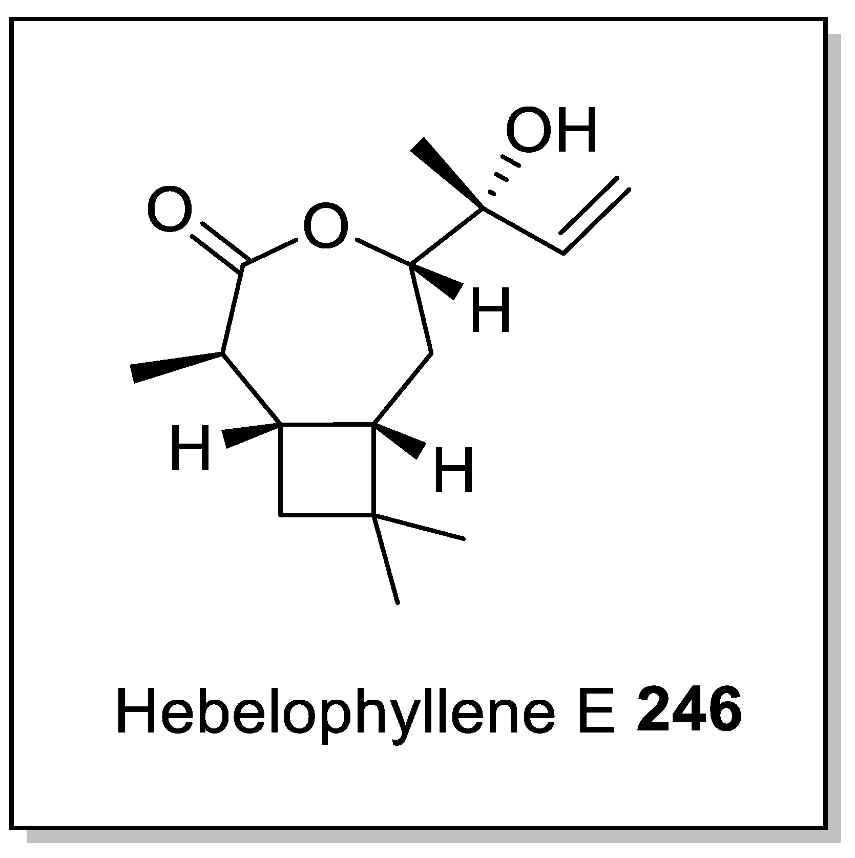 Molecules 28 00704 g007