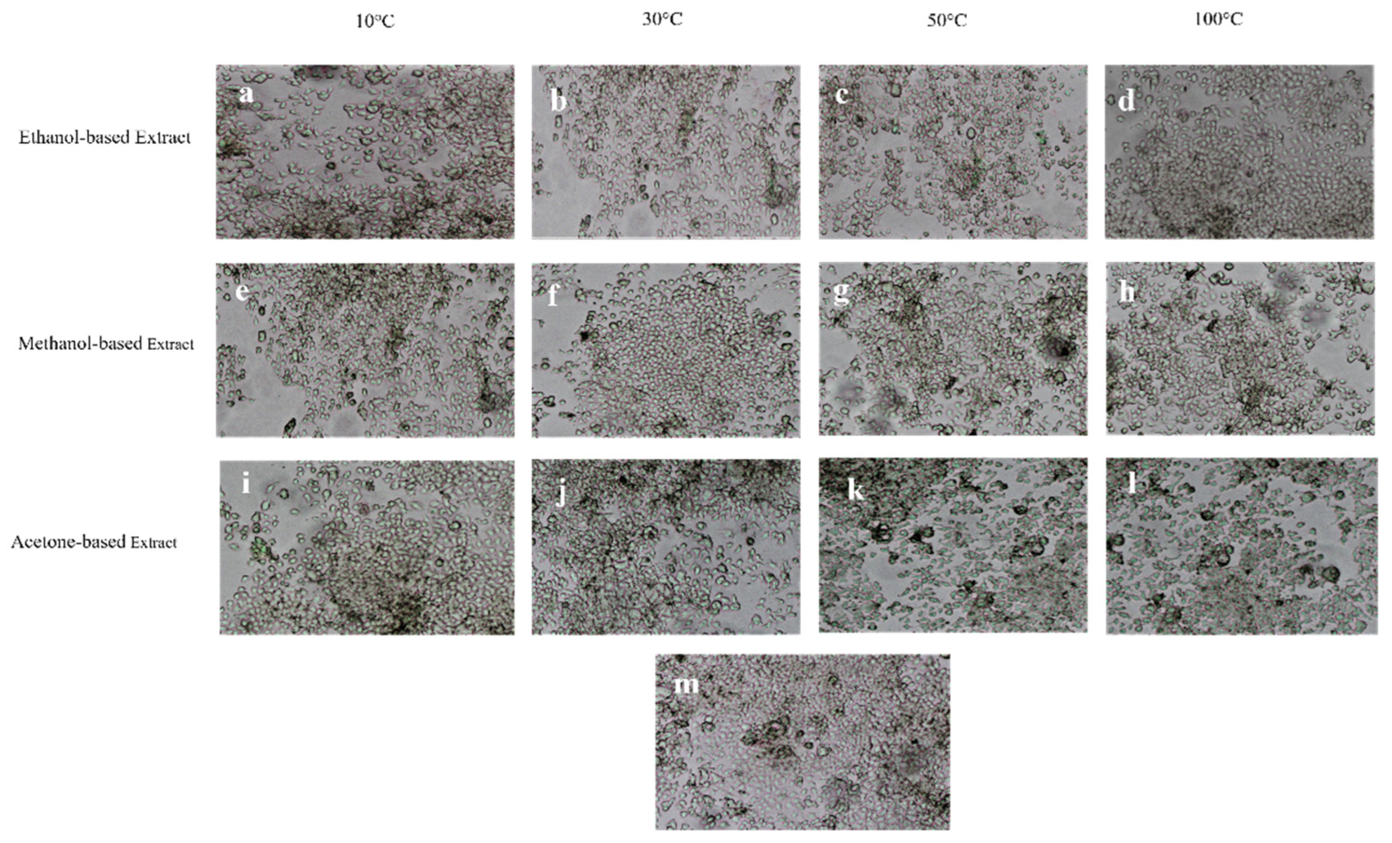 Molecules 28 00710 g004