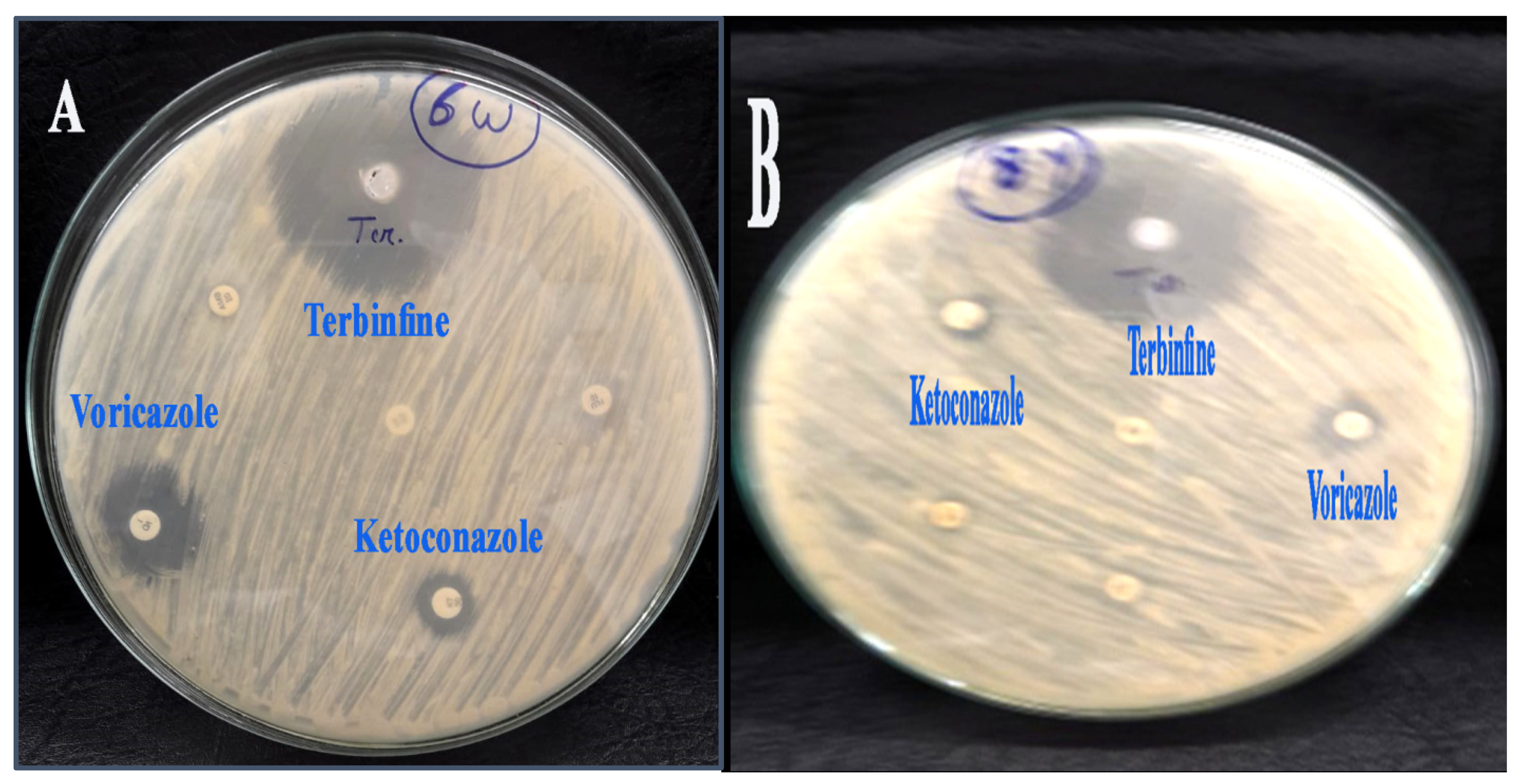 Molecules 28 00711 g007