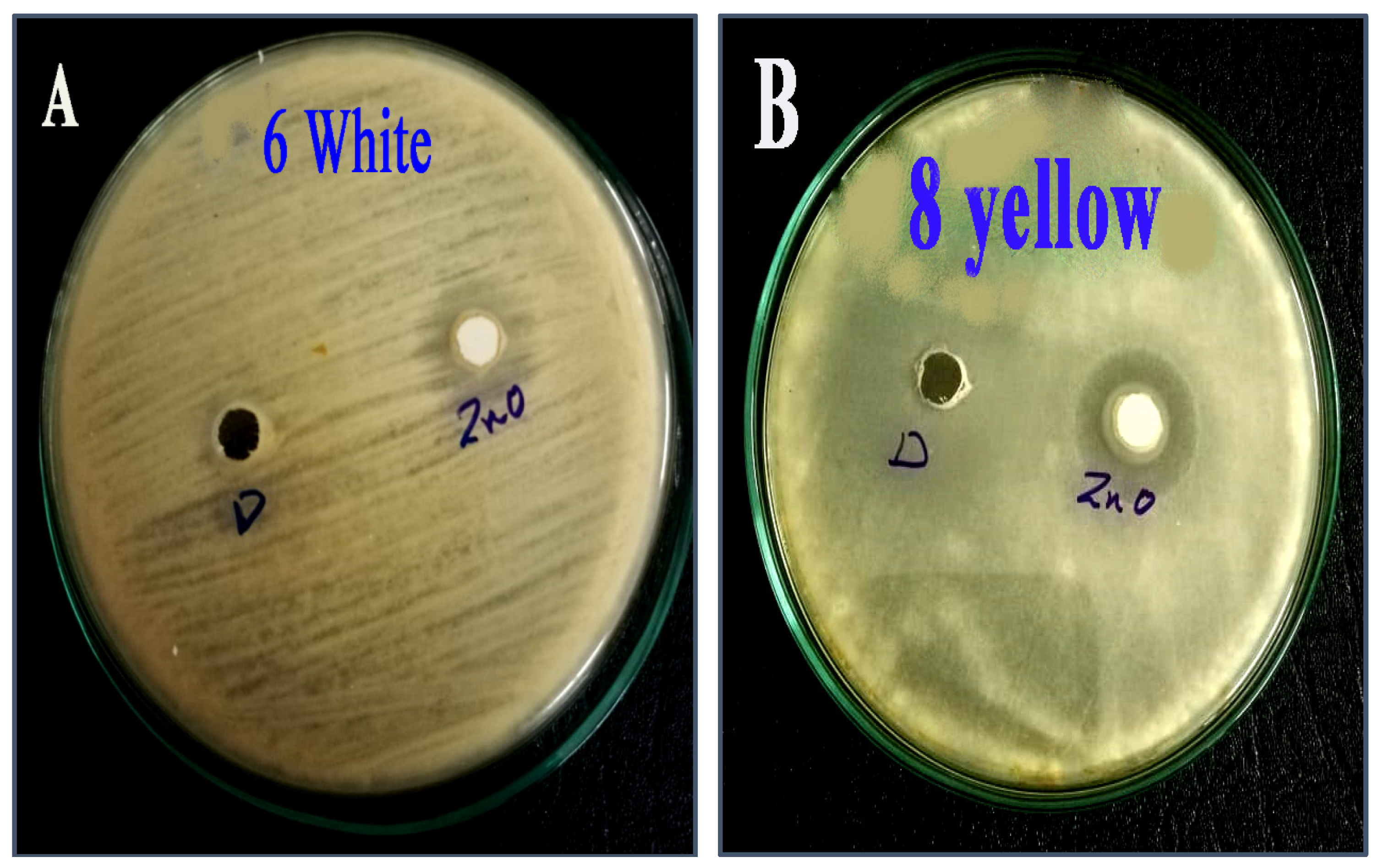 Molecules 28 00711 g008
